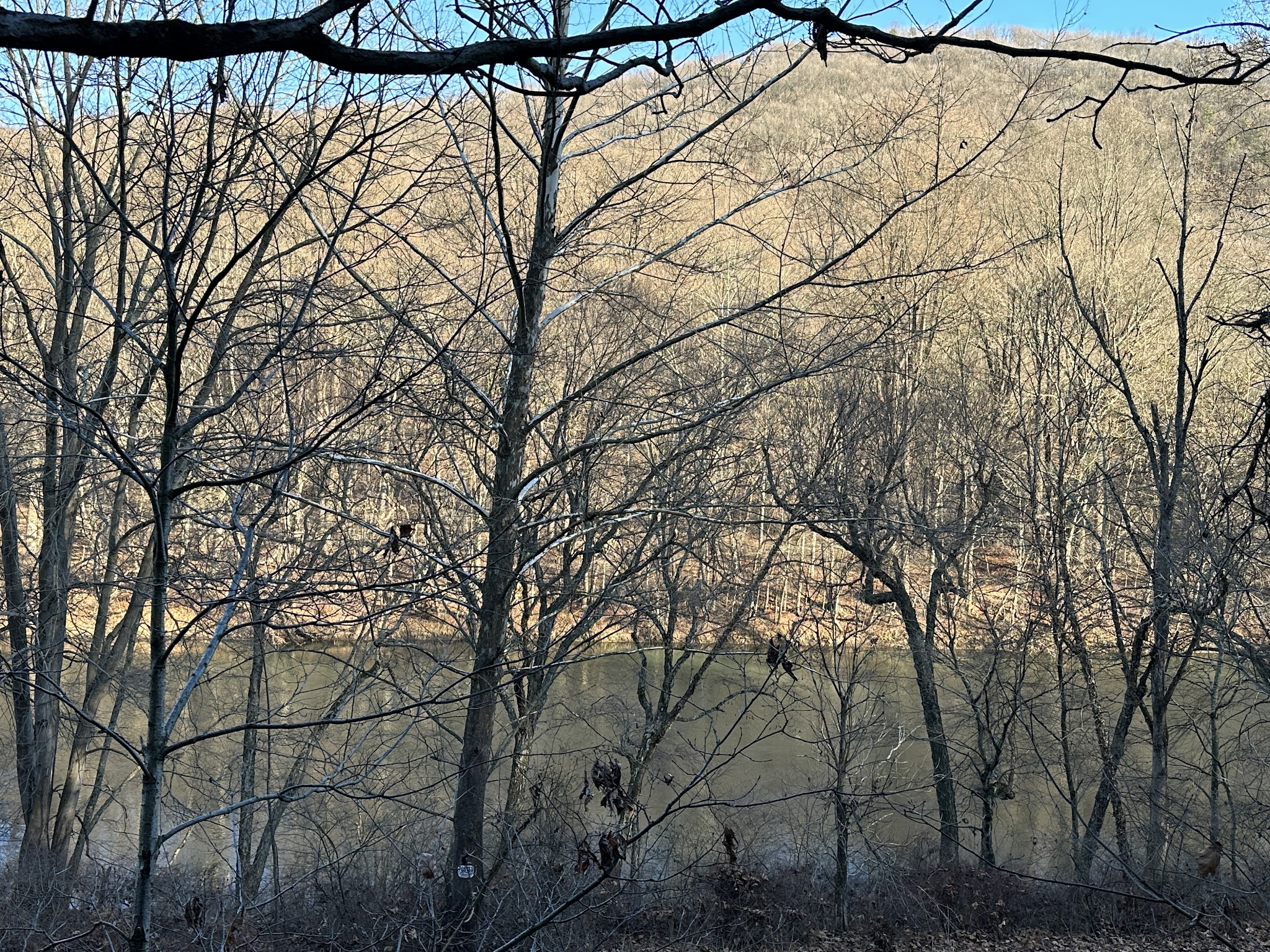 Stony Creek Trail Access - Auburn, PA