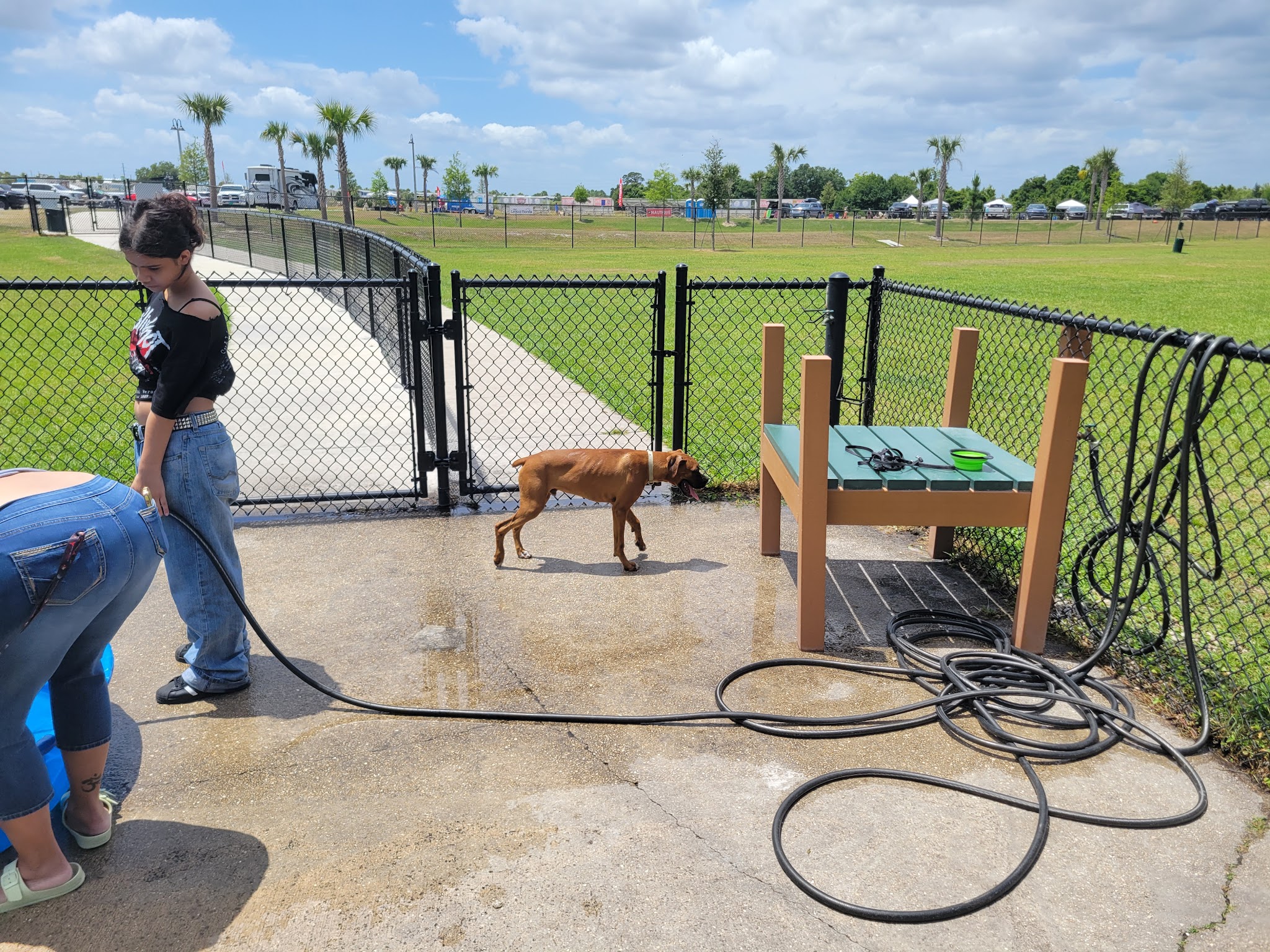 Auburndale Dog Park - Auburndale, FL
