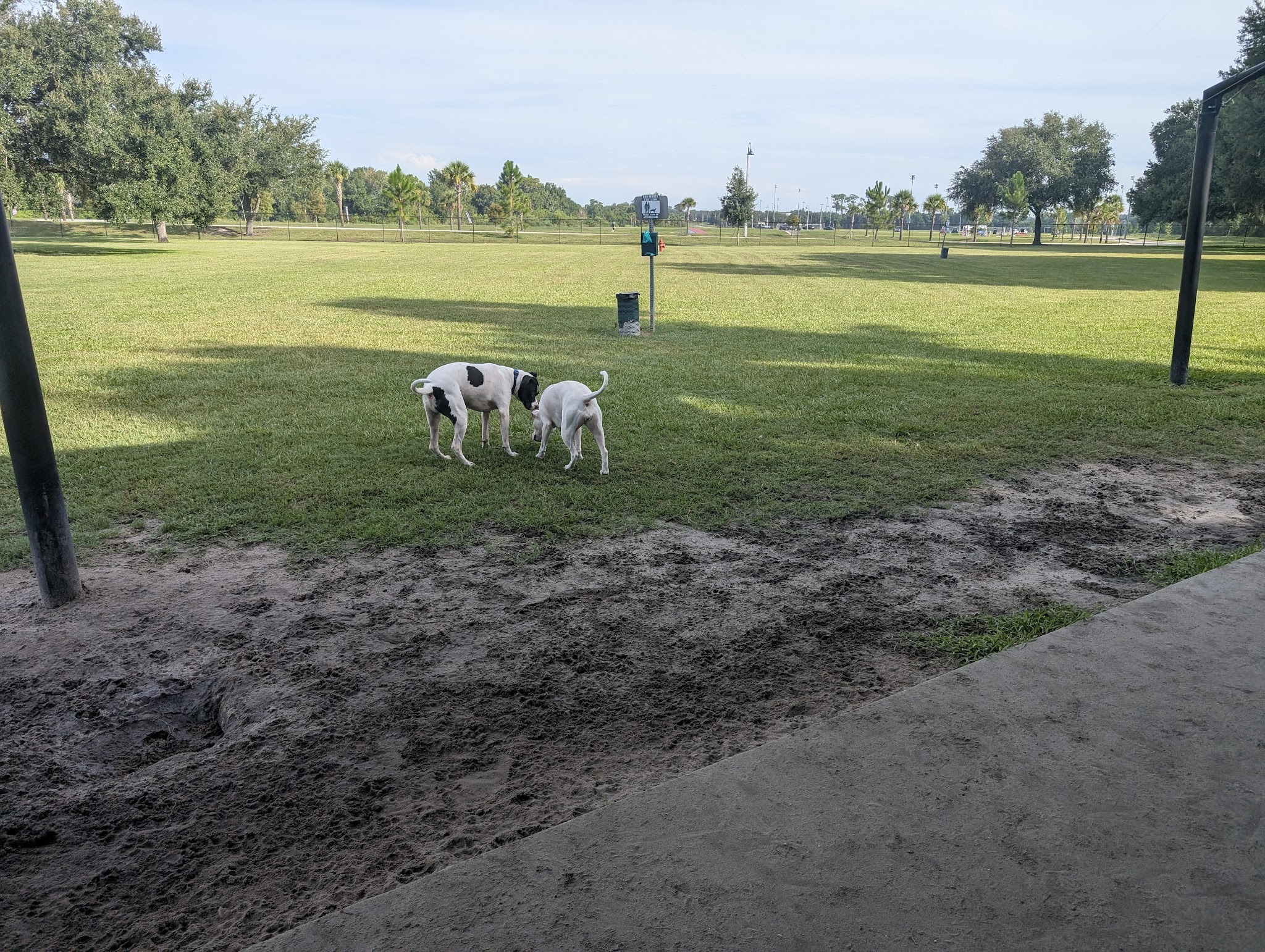 Auburndale Dog Park - Auburndale, FL