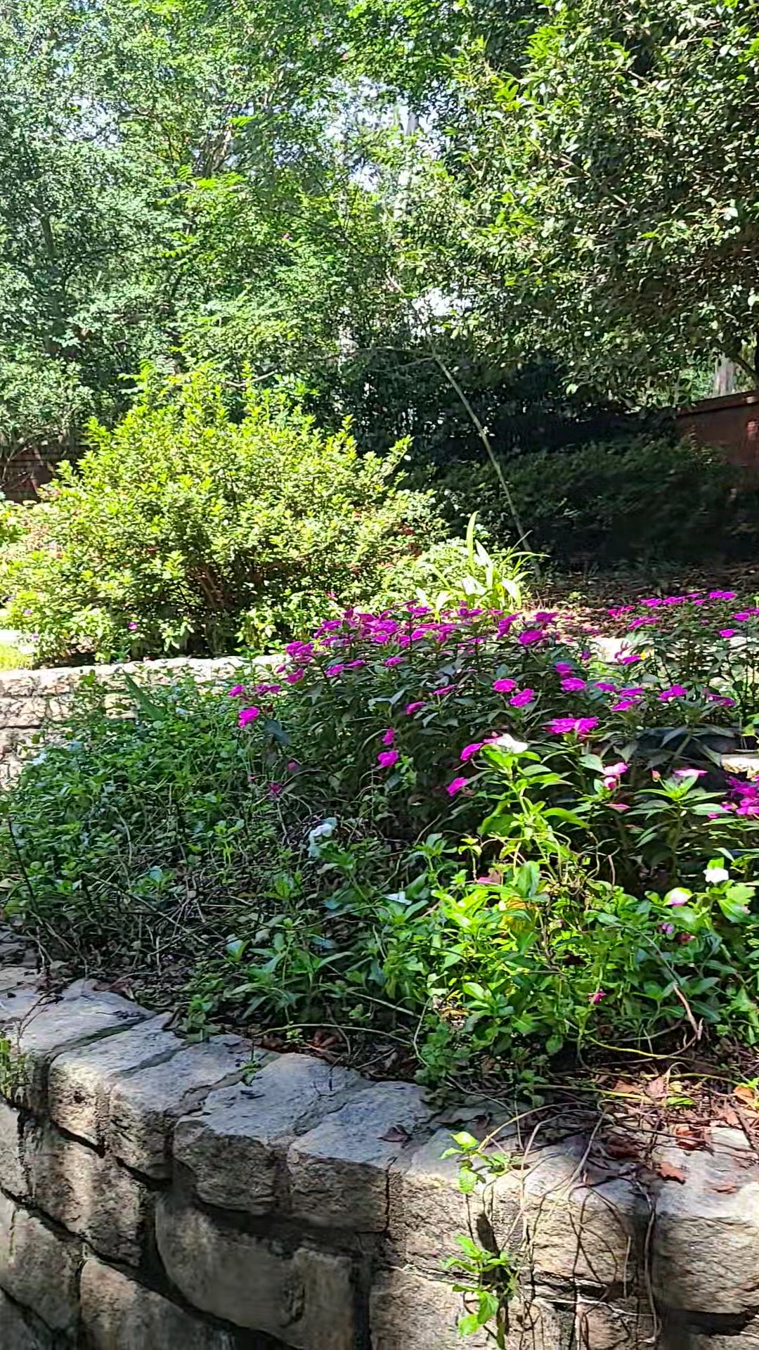 Pendleton King Park - Dog Park - Augusta, GA