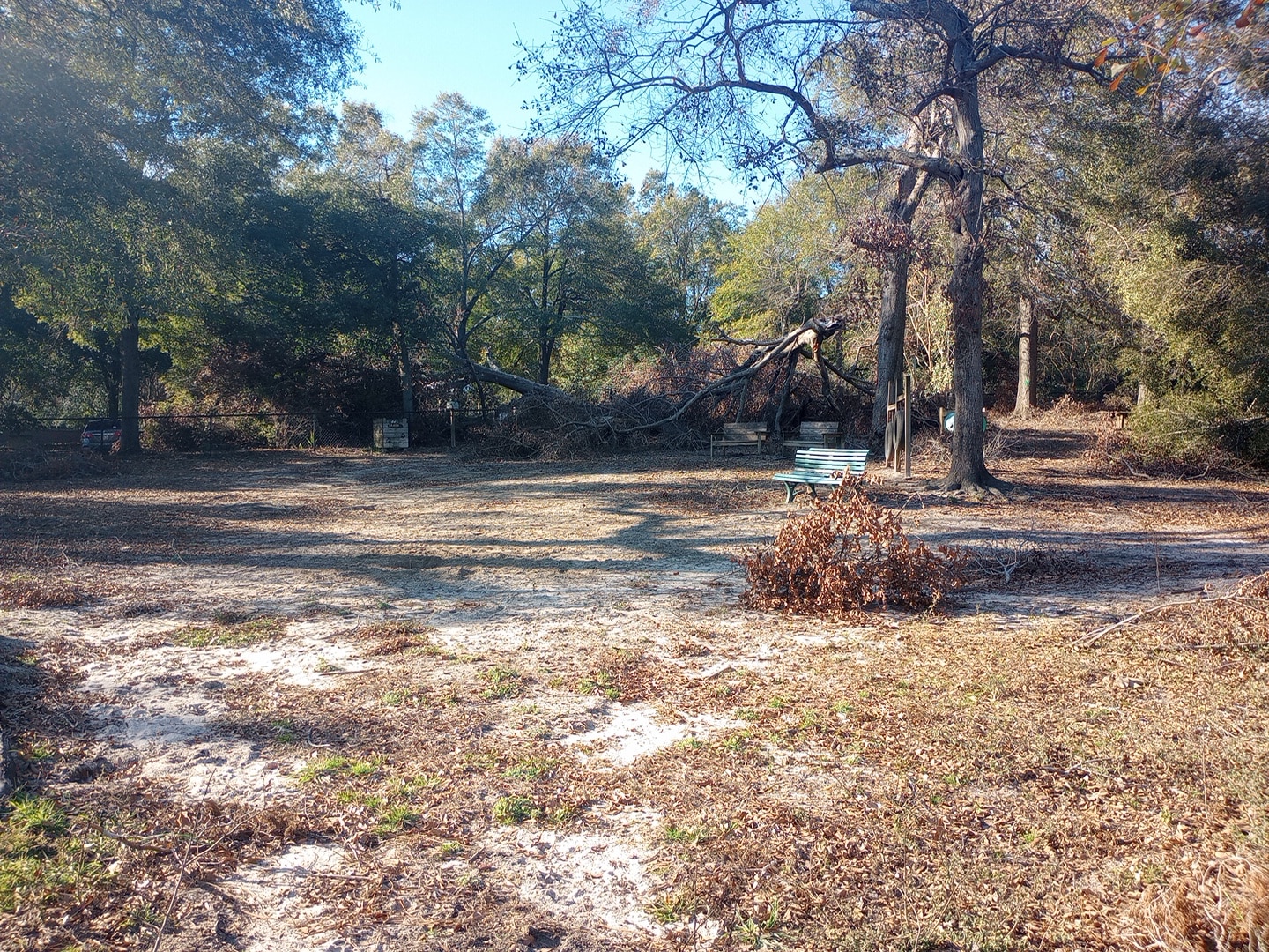Pendleton King Park - Dog Park - Augusta, GA