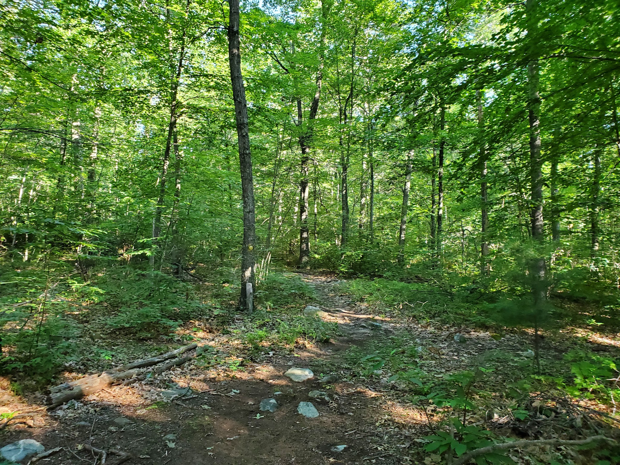 Found Land Park - Avon, CT