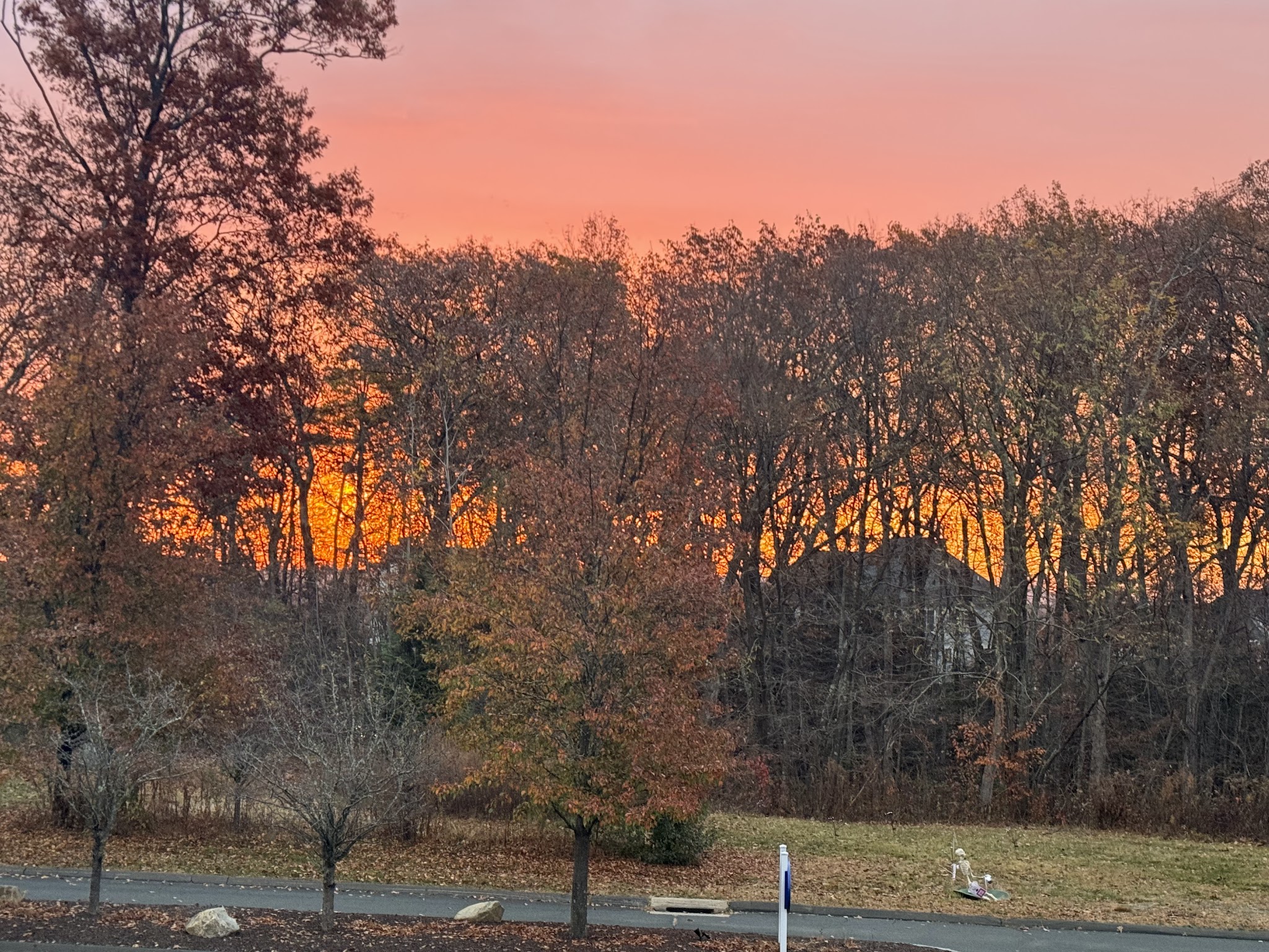 Found Land Park - Avon, CT