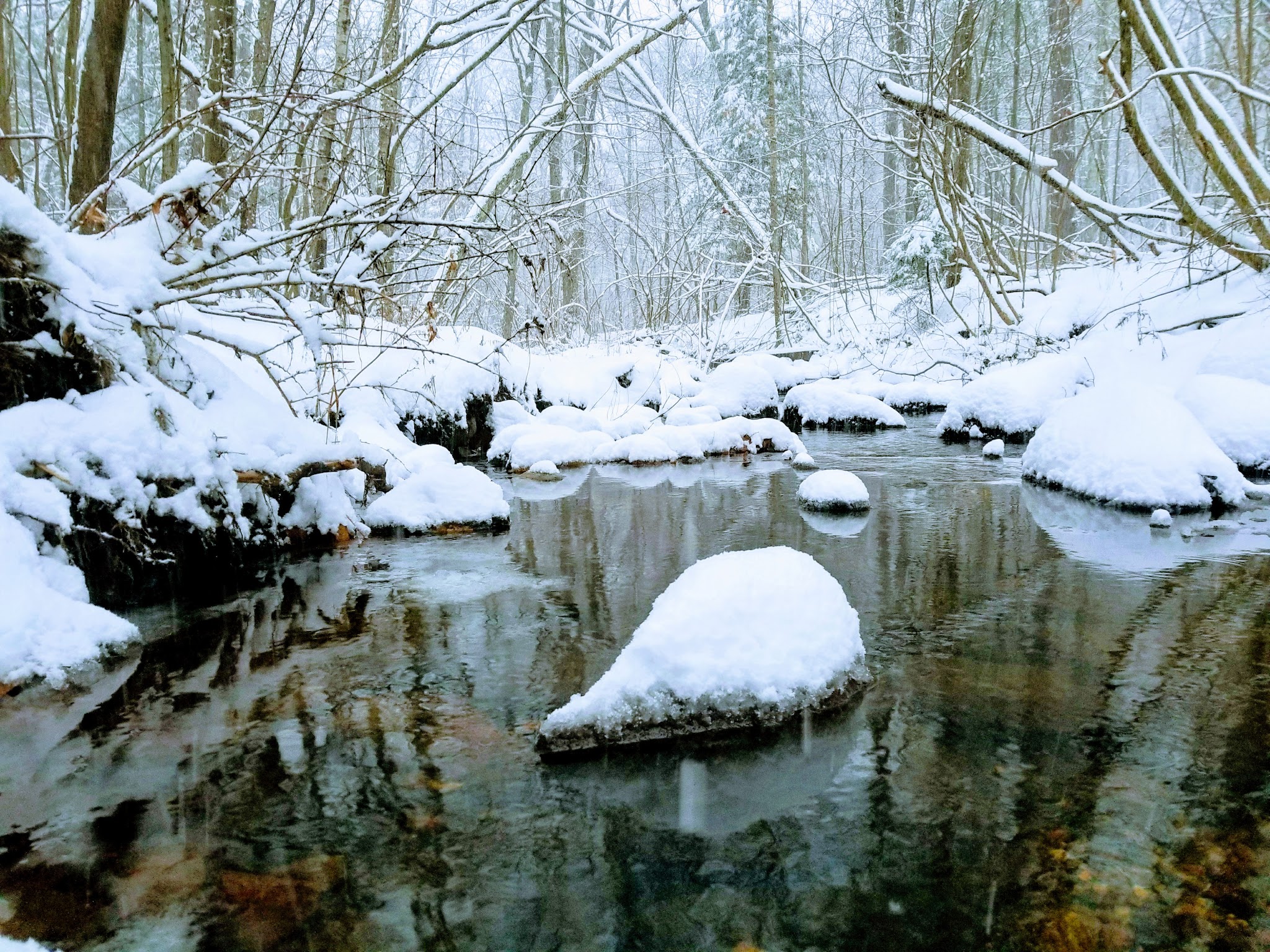 Found Land Park - Avon, CT