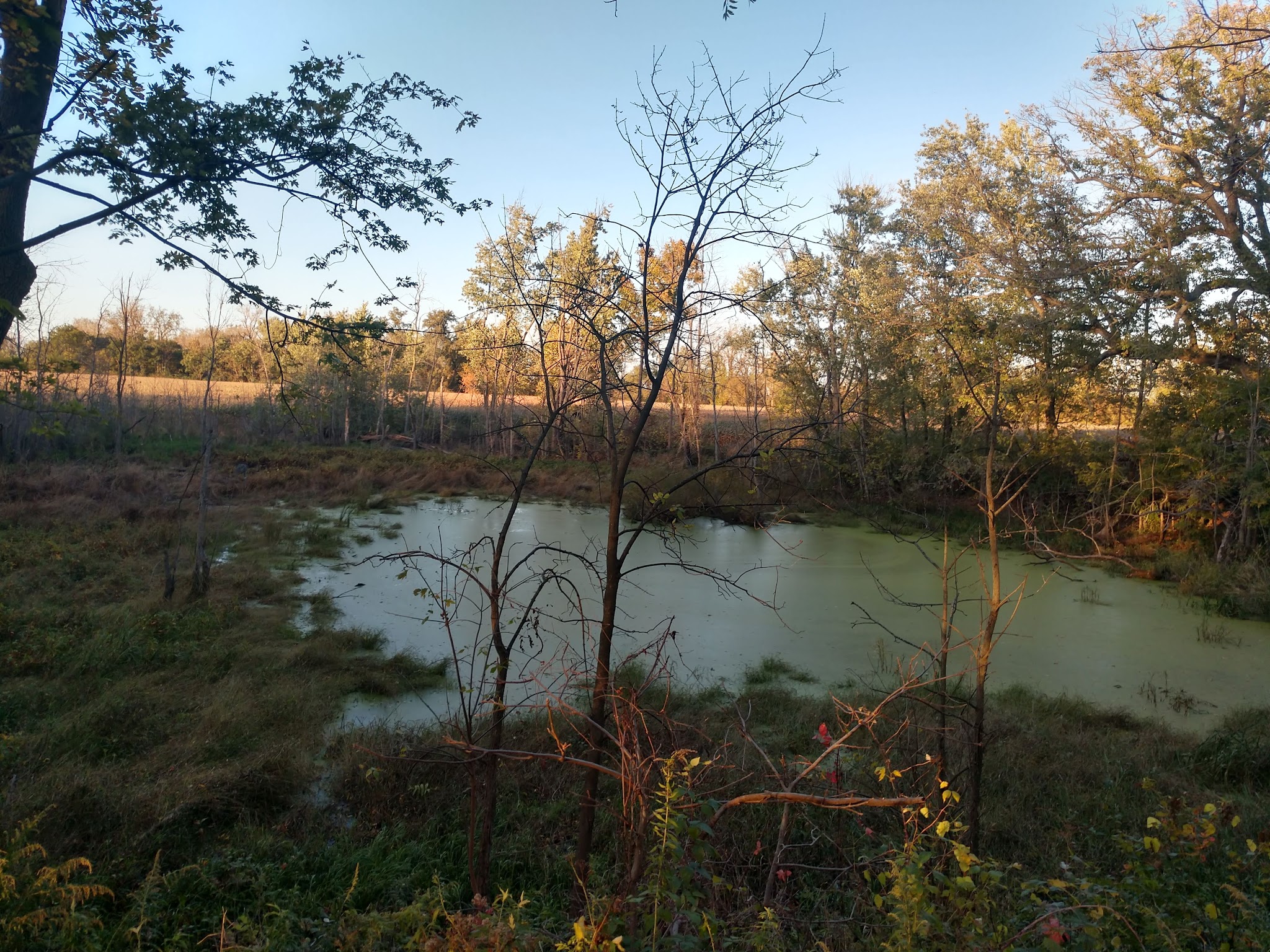 Erie-Attica Trail Parking - Avon, NY