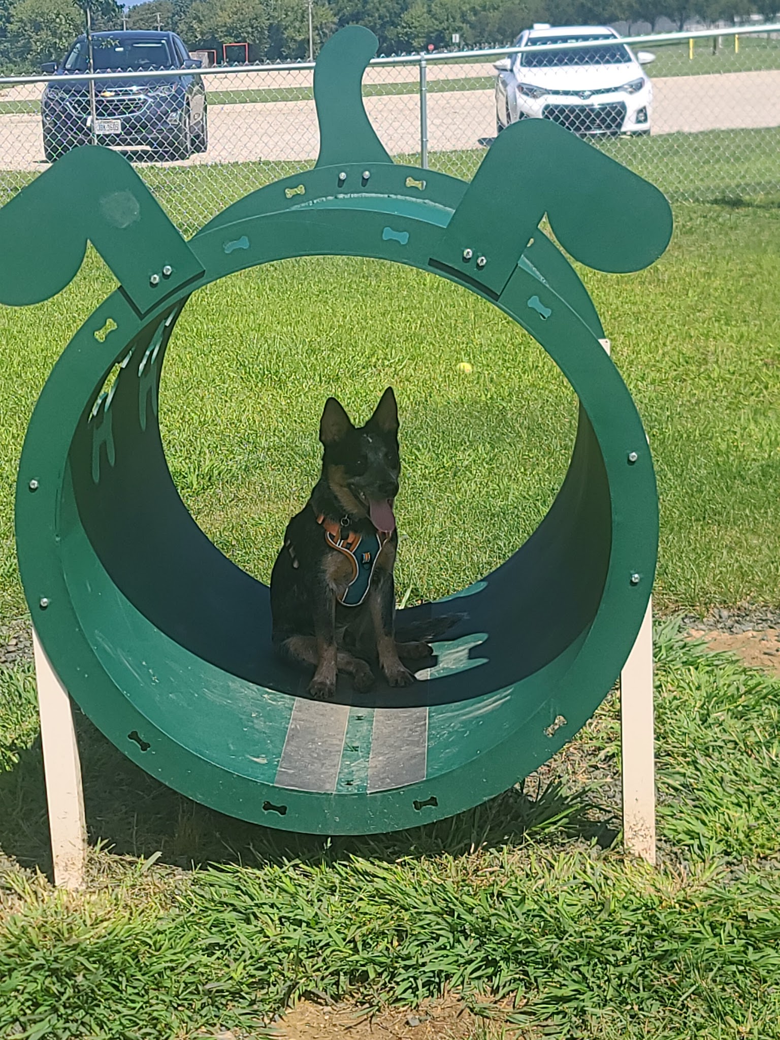 Canning Family K-9 Park - Avon, OH