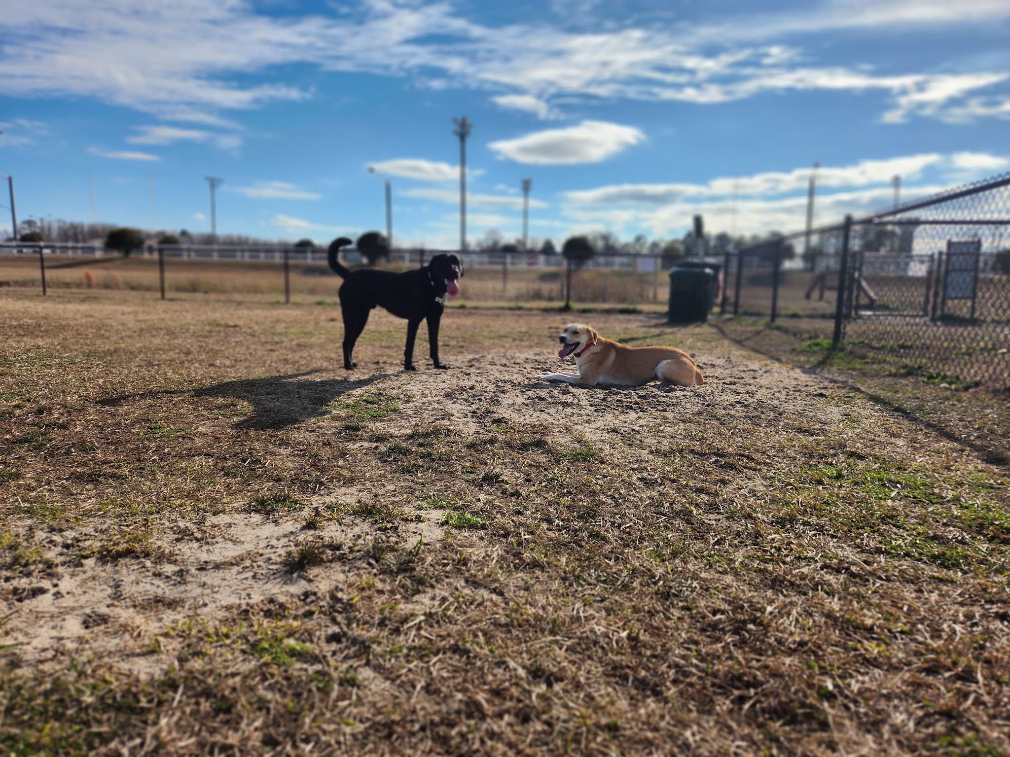 Ayden District Inclusive Park - Ayden, NC