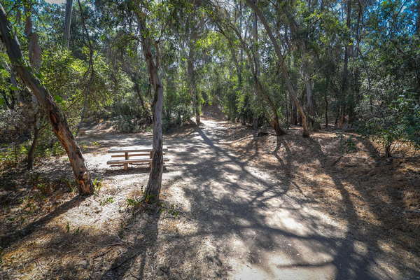 Walnut Creek Nature Park - Baldwin Park, CA