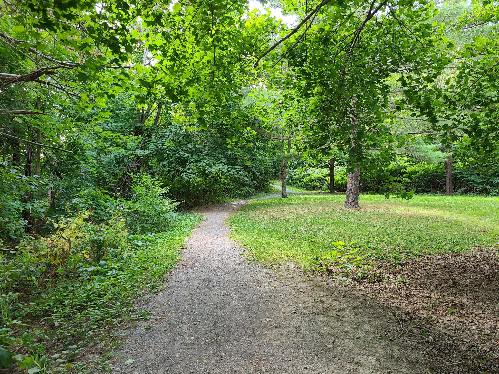 Kenduskeag Stream Trail - Bangor, ME