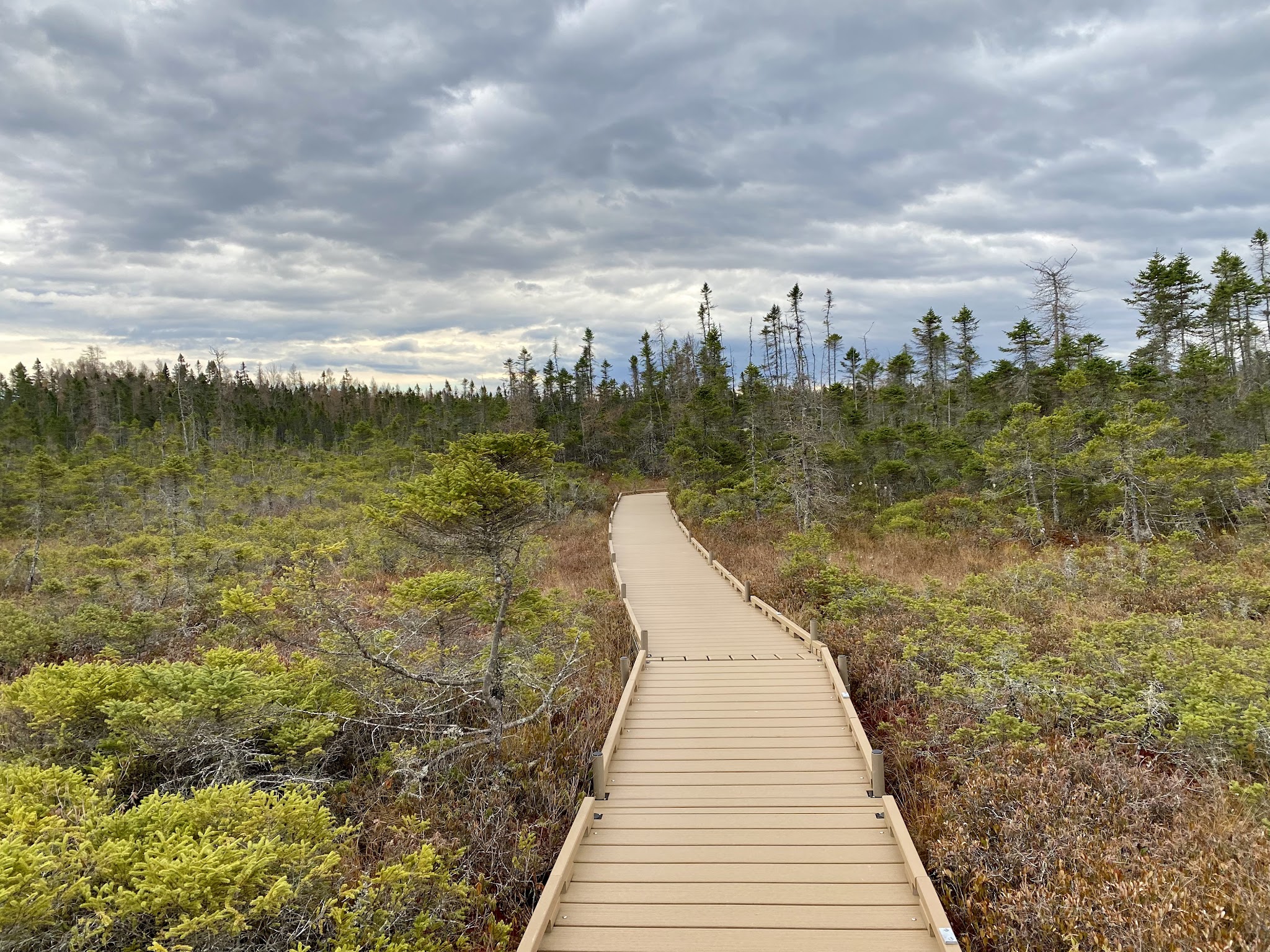 Orono Bog Boardwalk - Bangor, ME