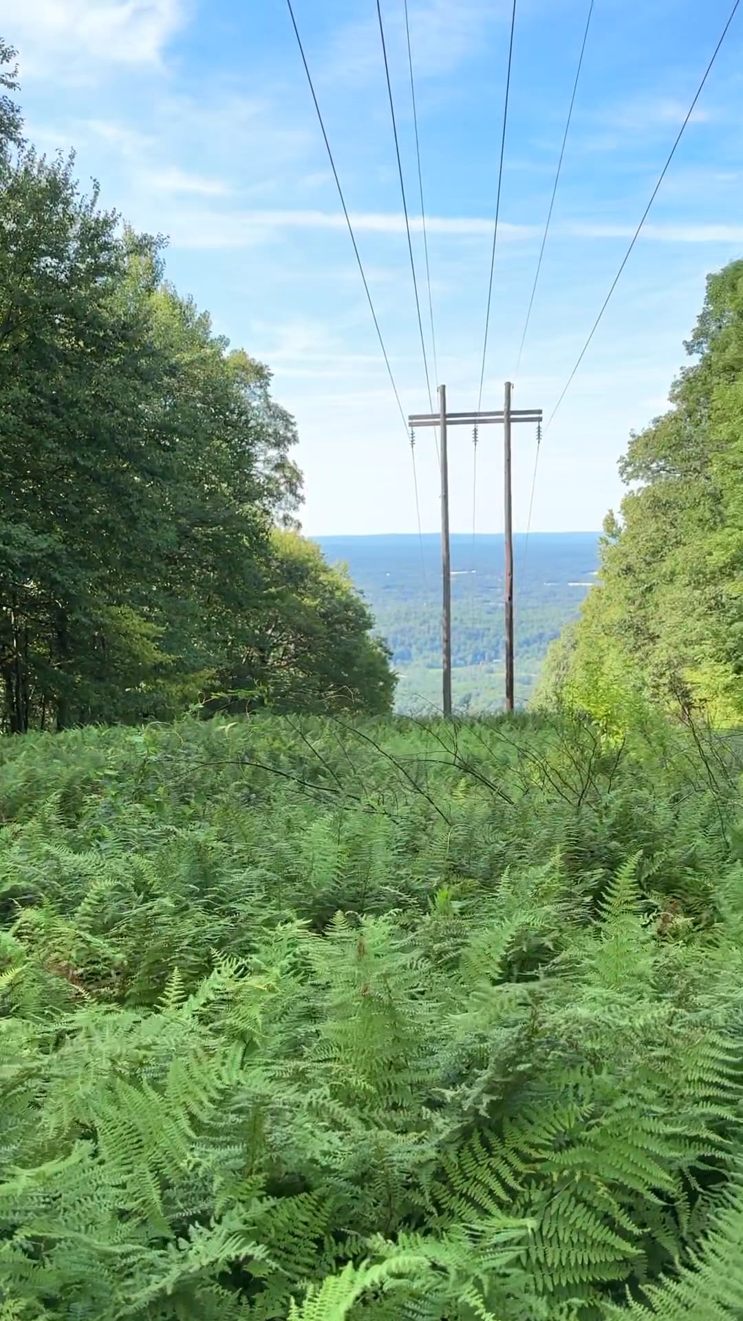 Appalachian Trail - Wolf Rocks - Bangor, PA