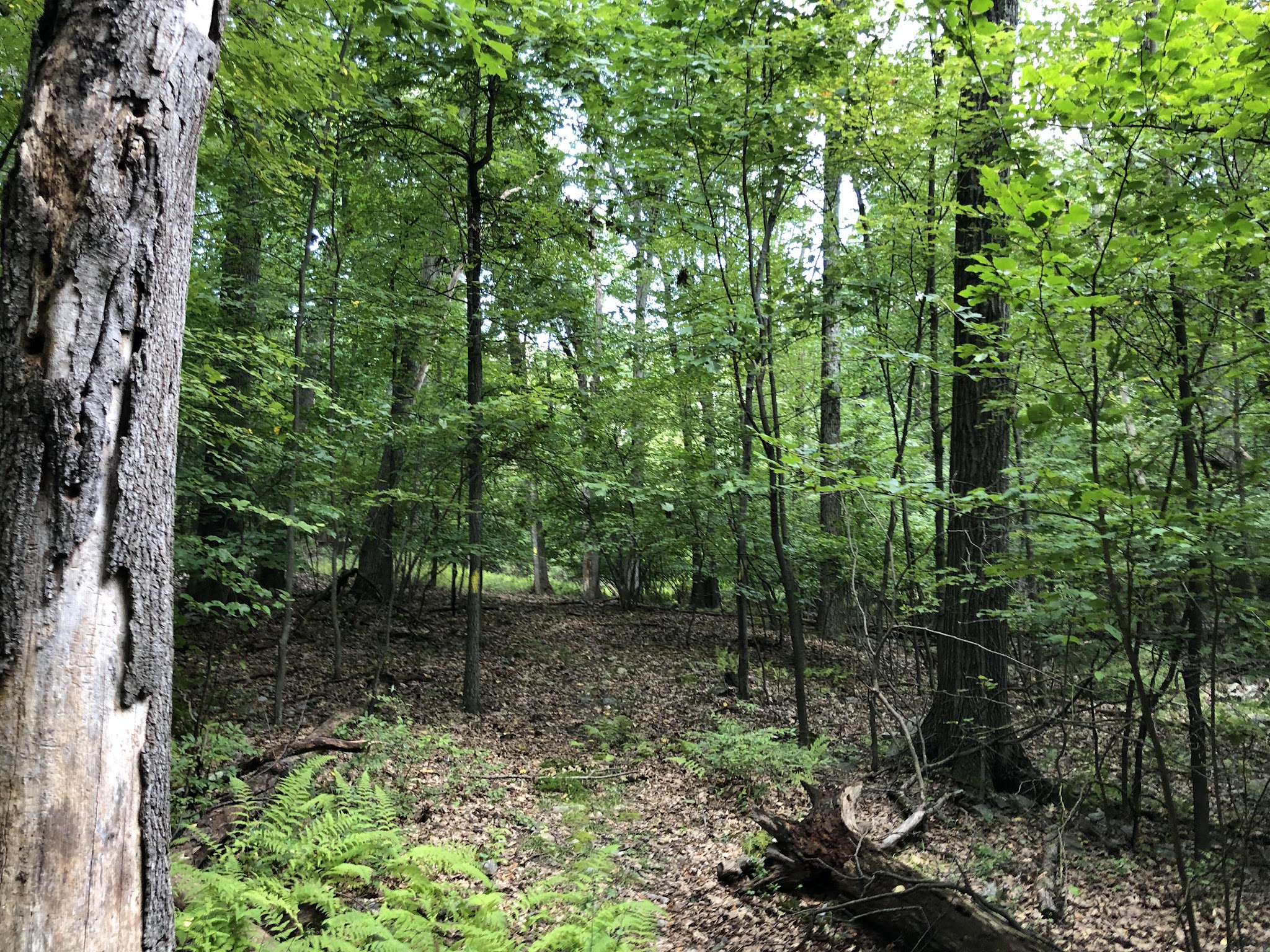 Appalachian Trail - Wolf Rocks - Bangor, PA