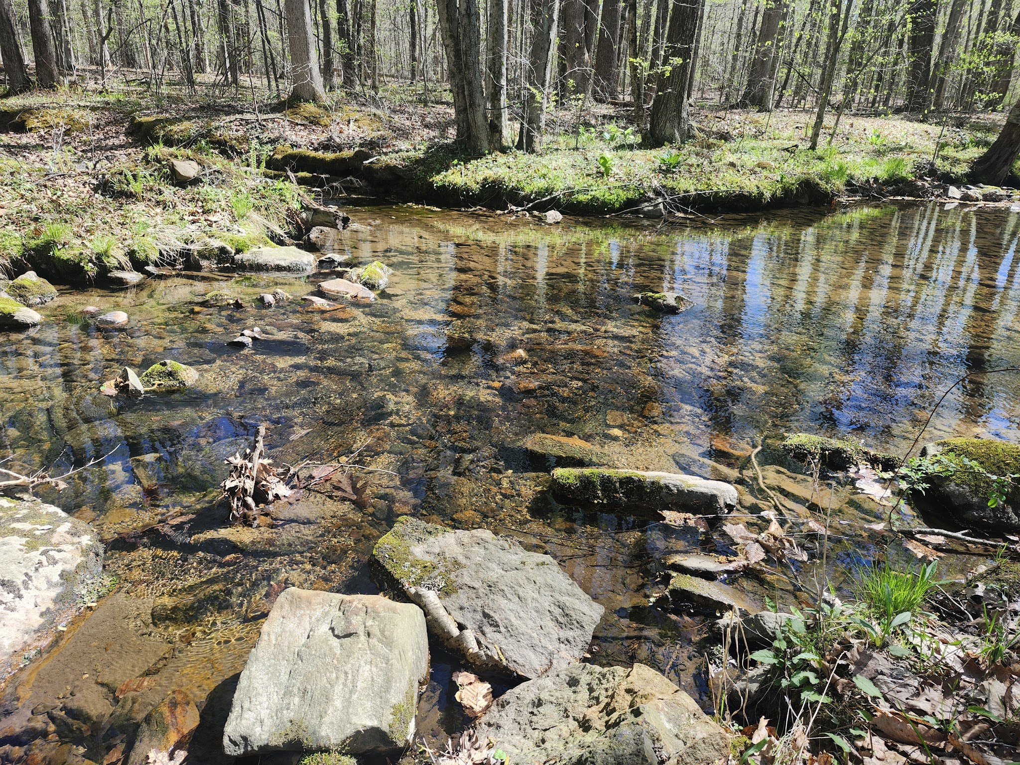 Minsi Lake Nature Trail - Bangor, PA