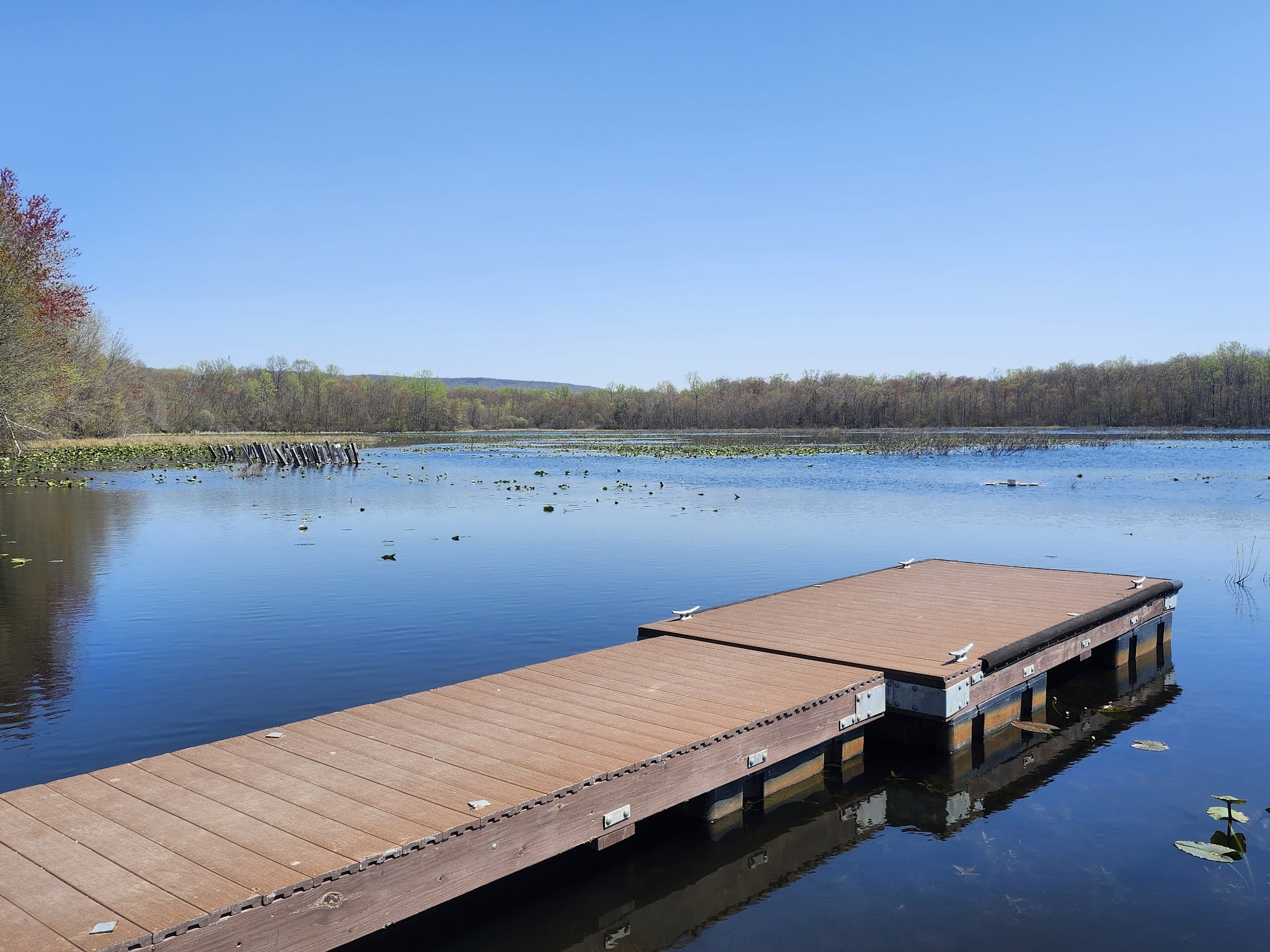 Minsi Lake Nature Trail - Bangor, PA