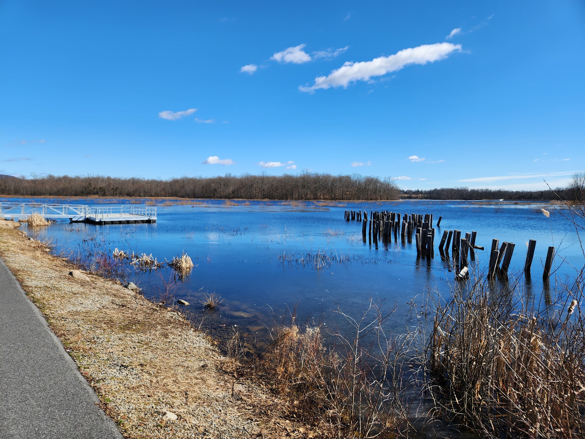 Minsi Lake Wilderness Area - Bangor, PA