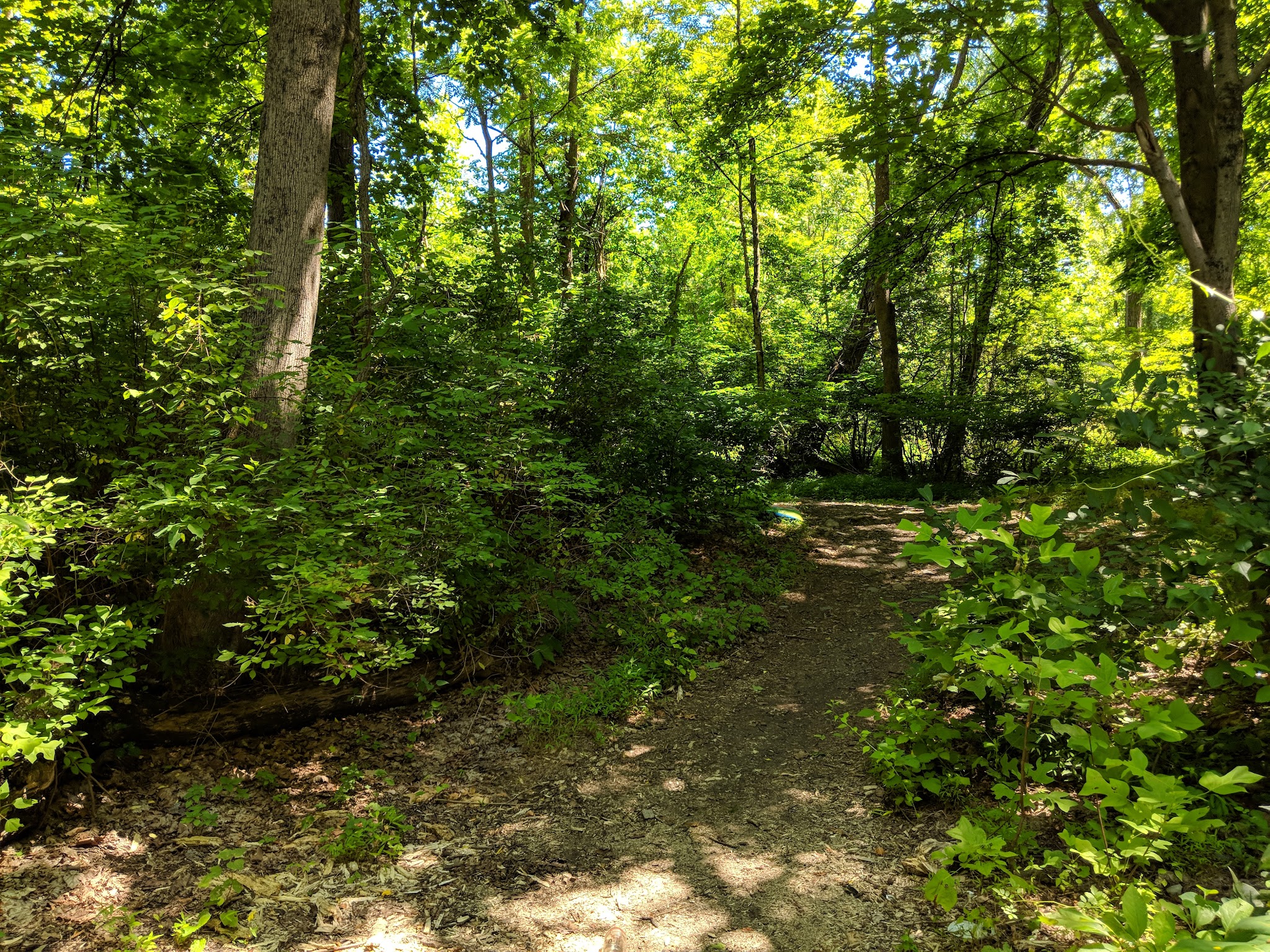 Pennico Park - Bangor, PA