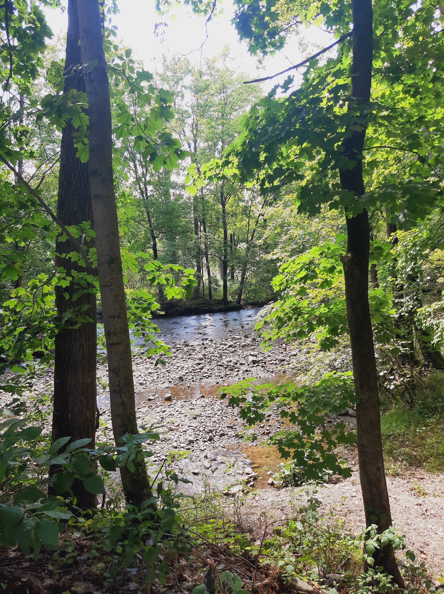 The Meadows at Martins Creek - Bangor, PA