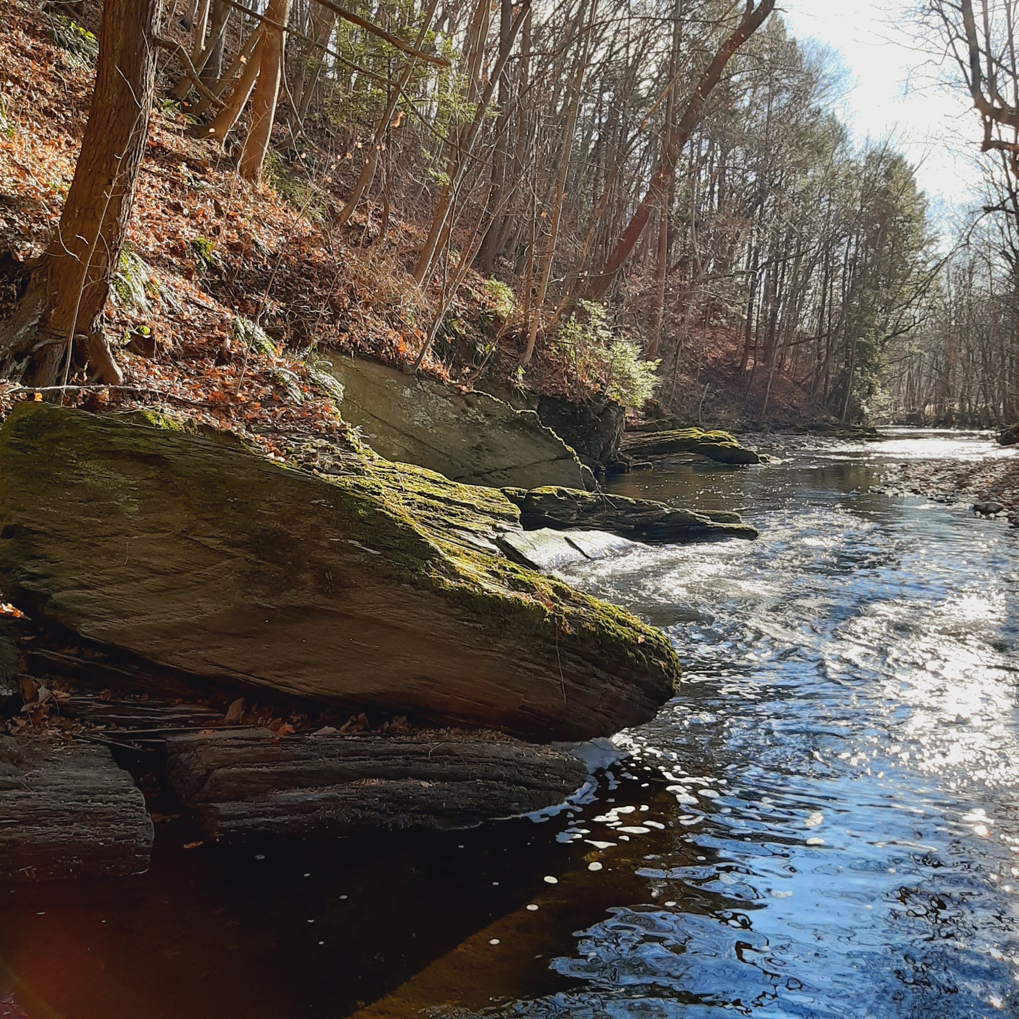 The Meadows at Martins Creek - Bangor, PA