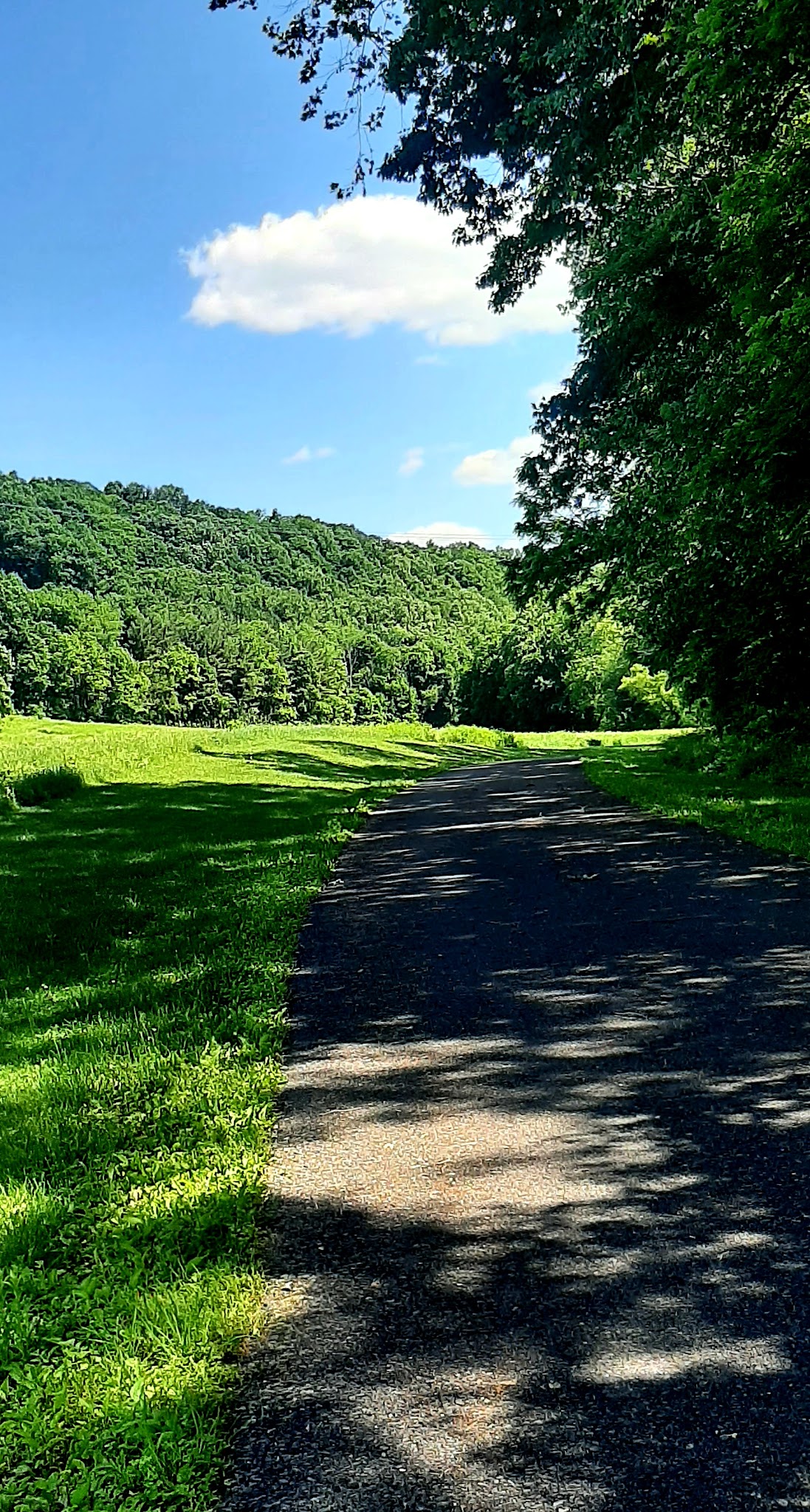 The Meadows at Martins Creek - Bangor, PA