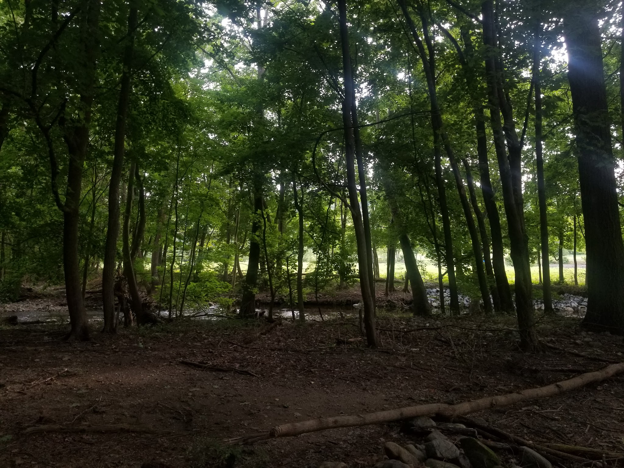 The Meadows at Martins Creek - Bangor, PA