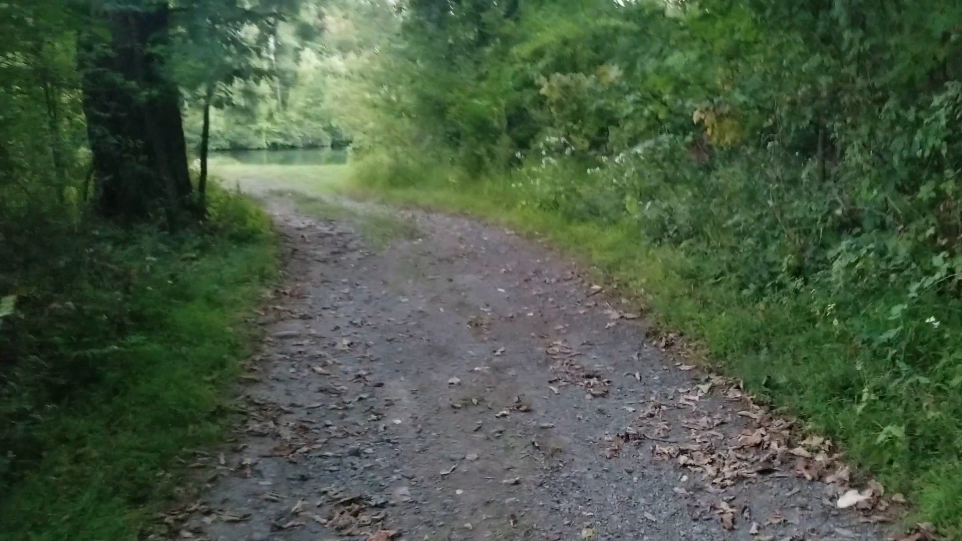 Twin Lakes County Park - Bangor, PA