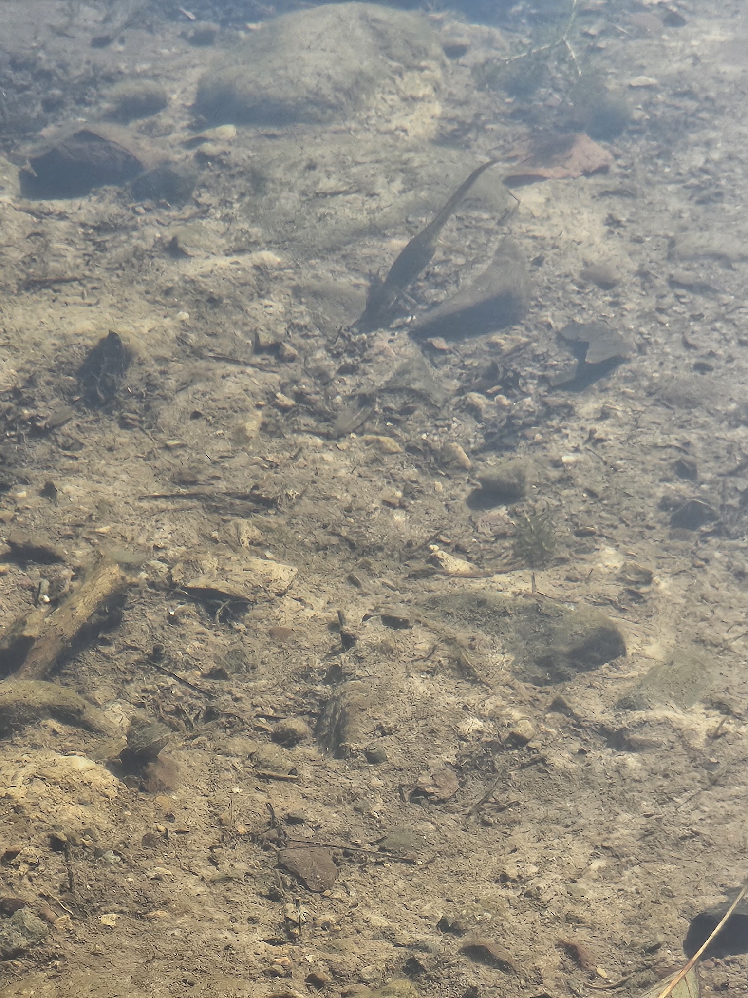 Twin Lakes County Park - Bangor, PA