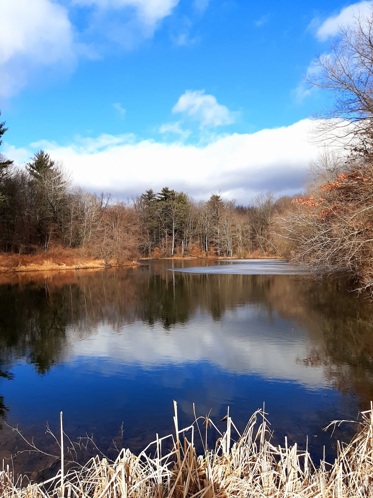 Twin Lakes County Park - Bangor, PA