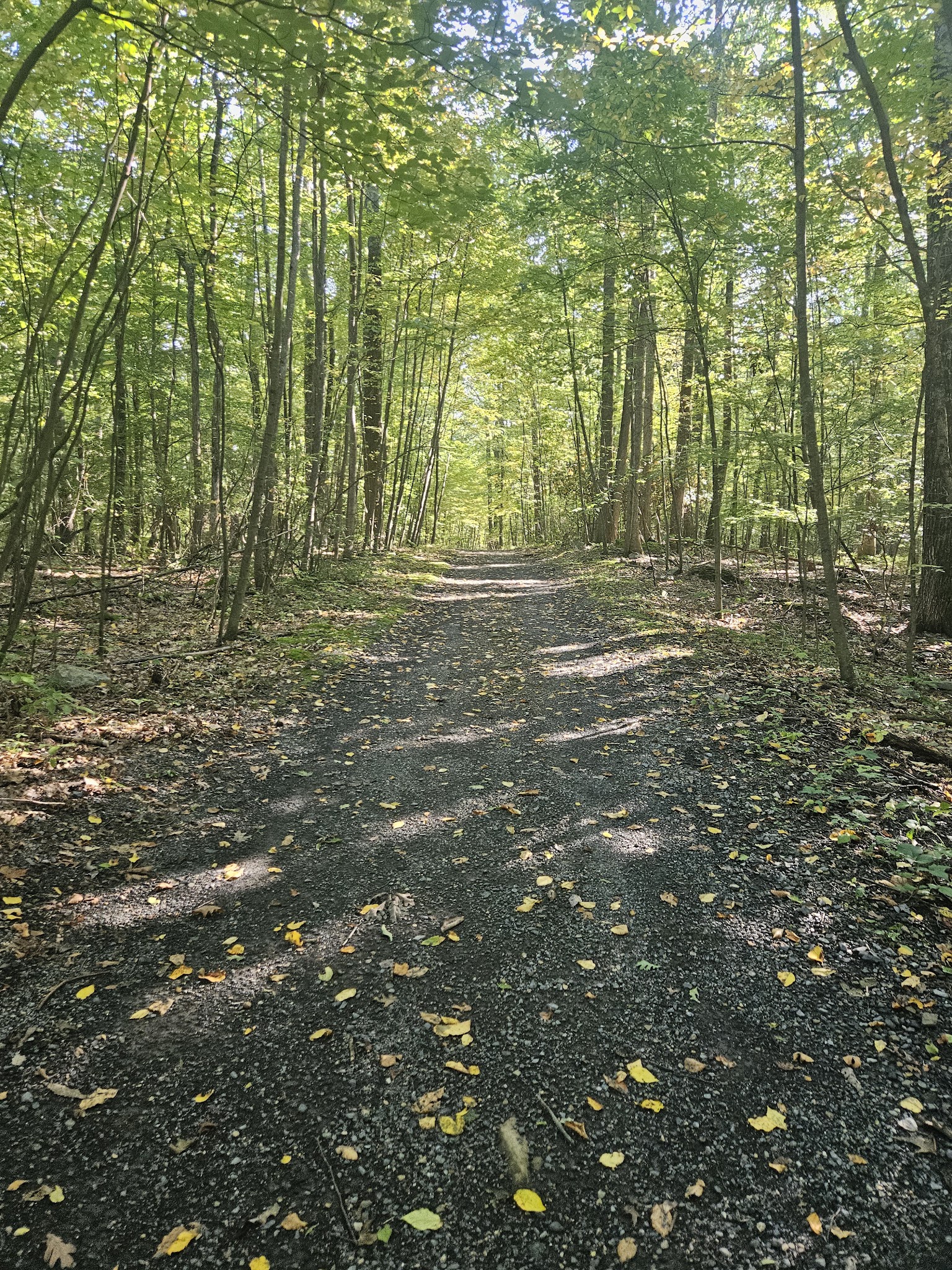 Twin Lakes County Park - Bangor, PA