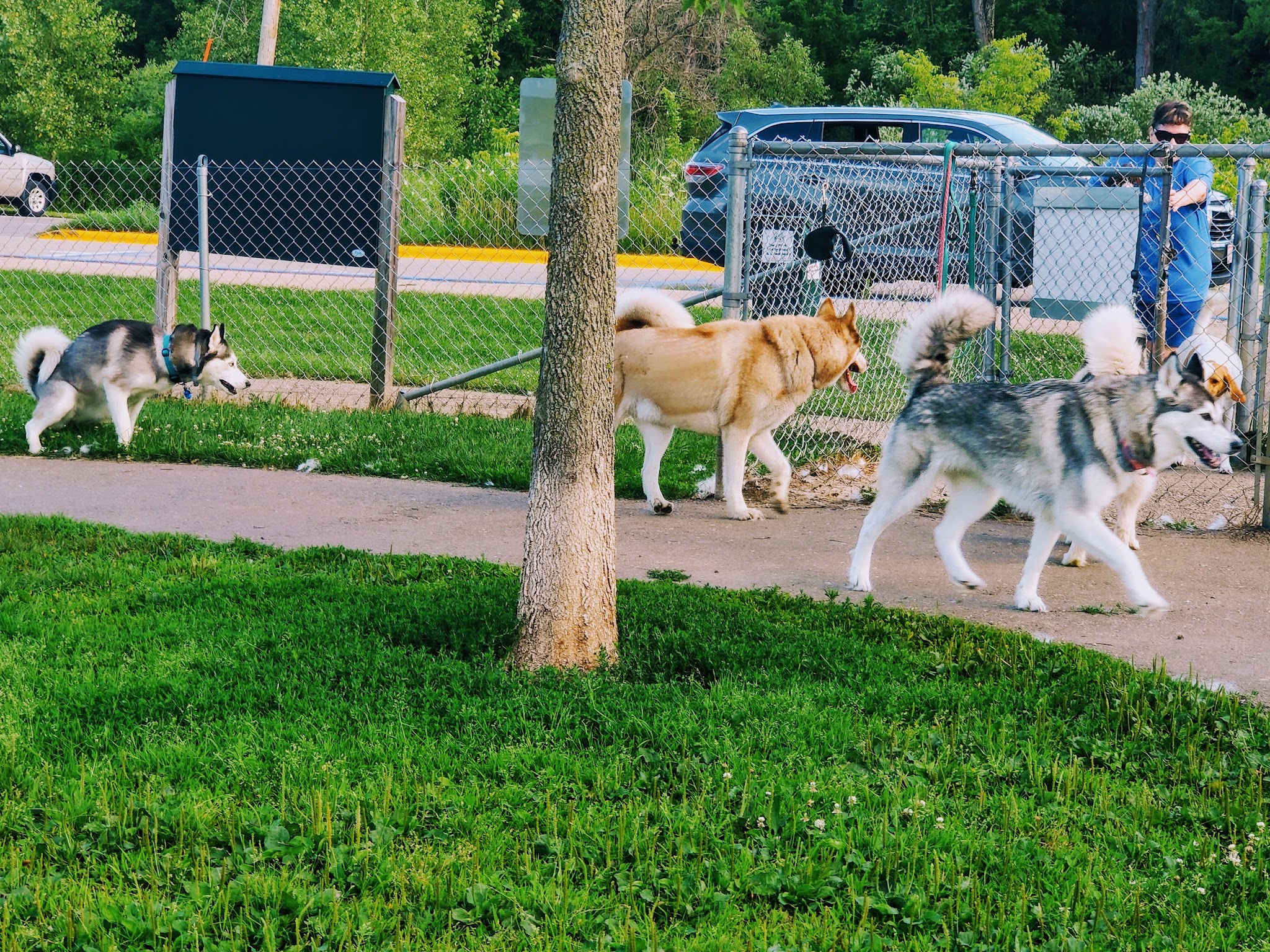 Liston Dog Park - Baraboo, WI