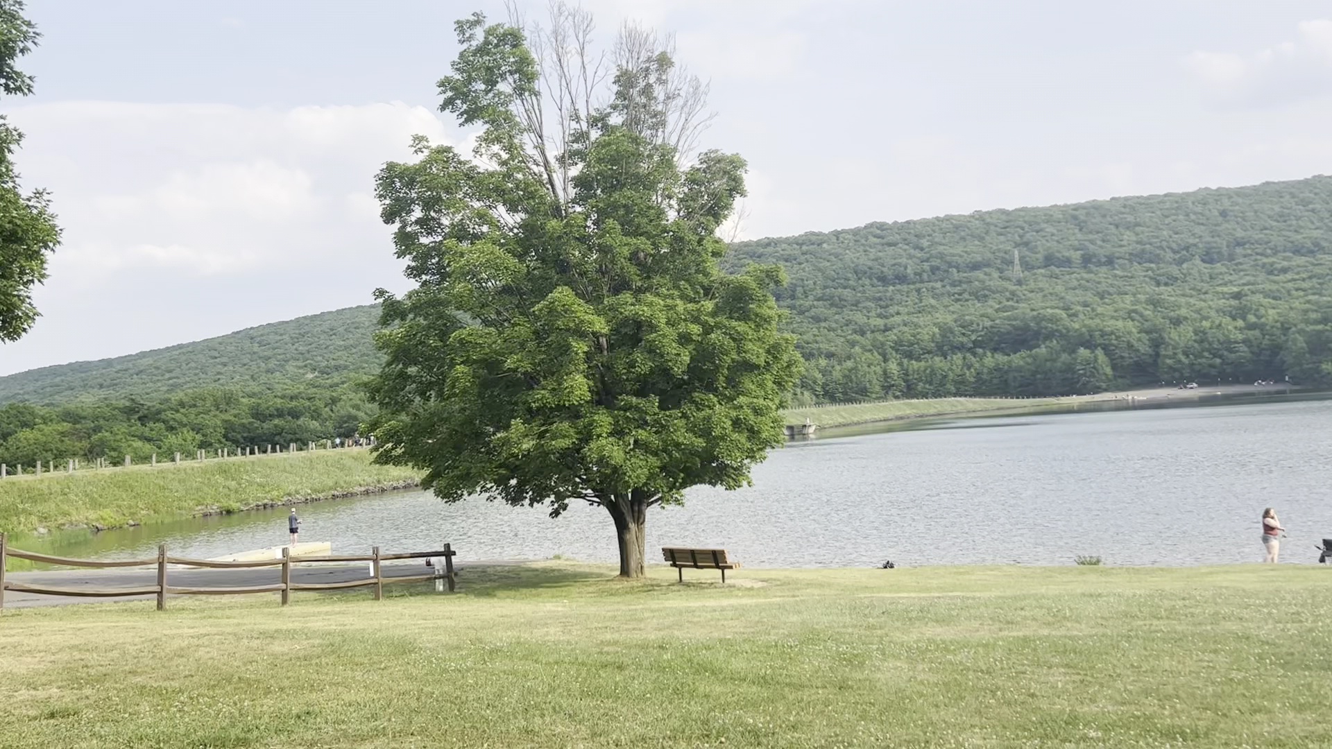 Locust Lake State Park Campground - Barnesville, PA
