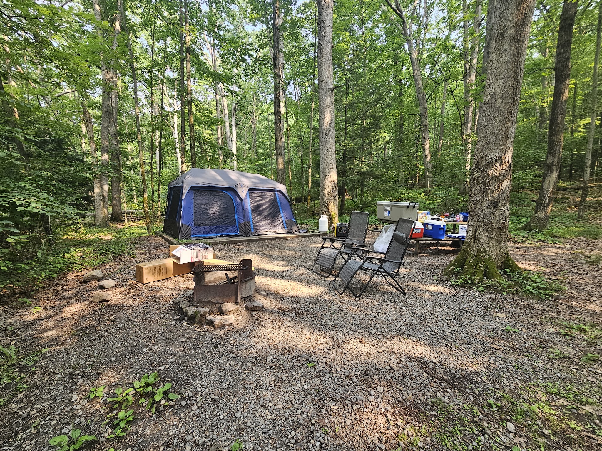 Locust Lake State Park Campground - Barnesville, PA