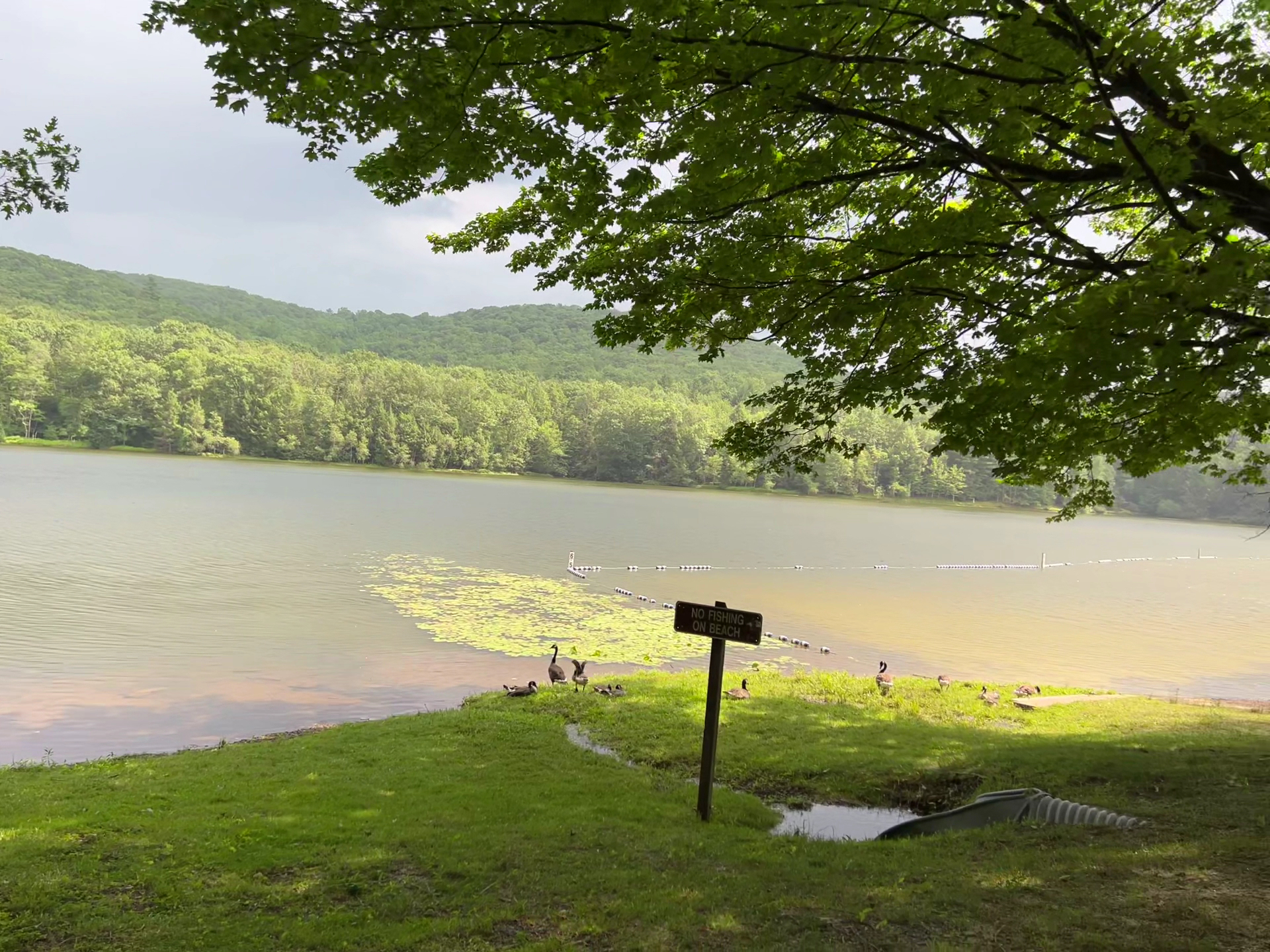 Tuscarora State Park - Barnesville, PA