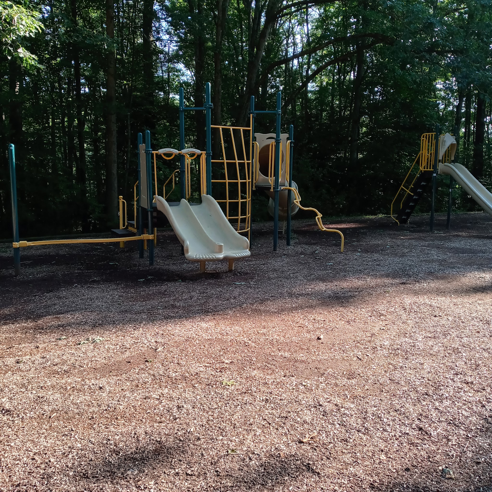 Tuscarora State Park Beach - Barnesville, PA