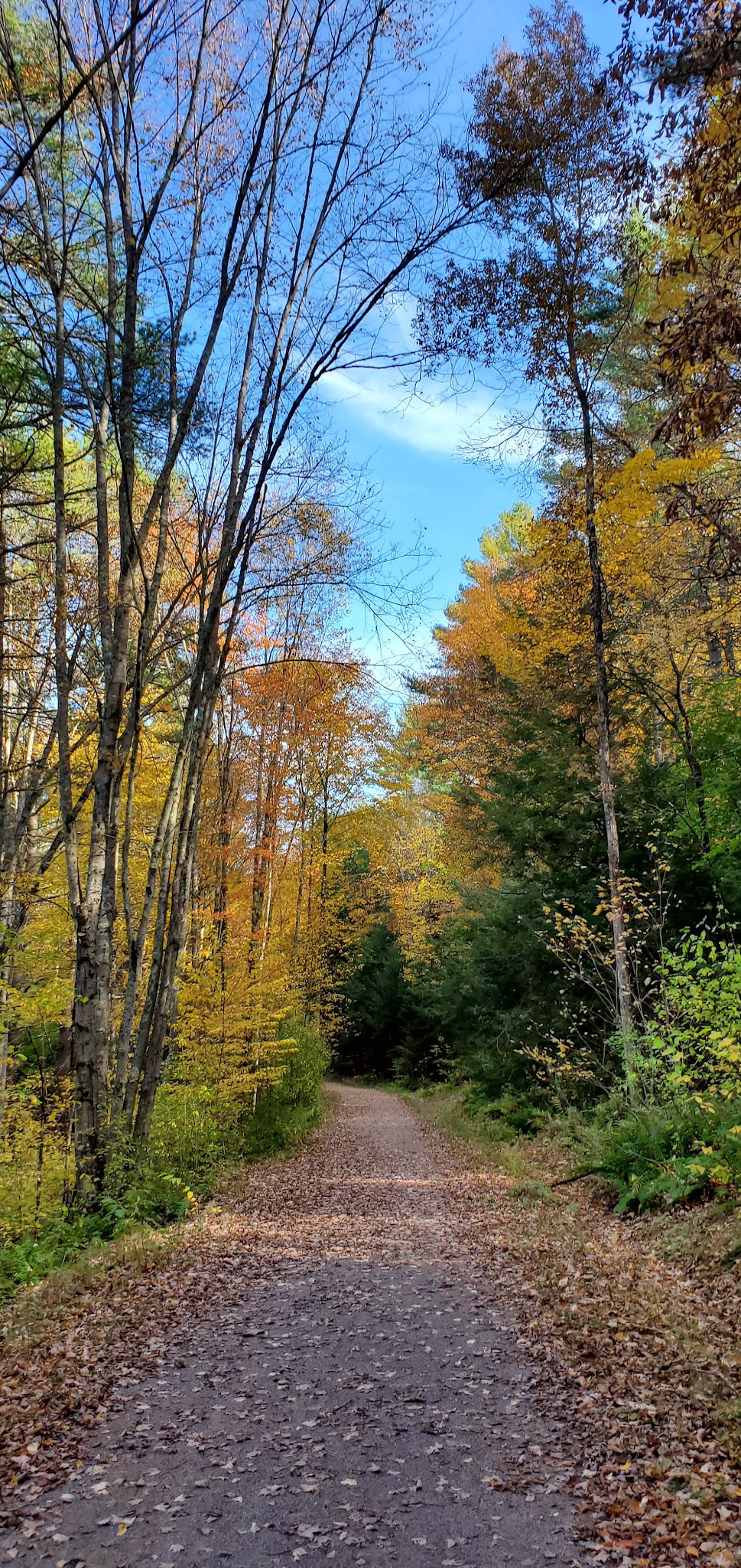 Mass Central Rail Trail - Barre, MA