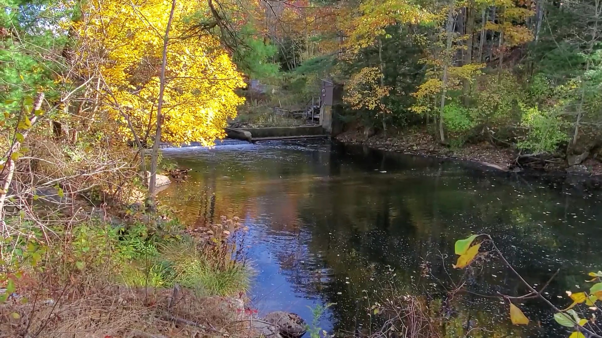 Mass Central Rail Trail - Barre, MA