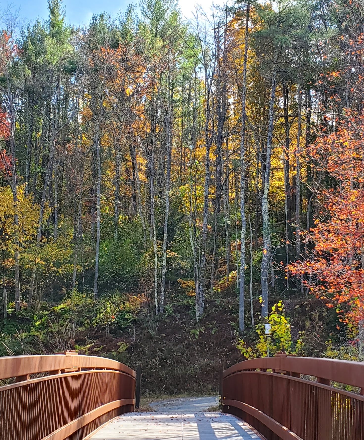 Mass Central Rail Trail - Barre, MA