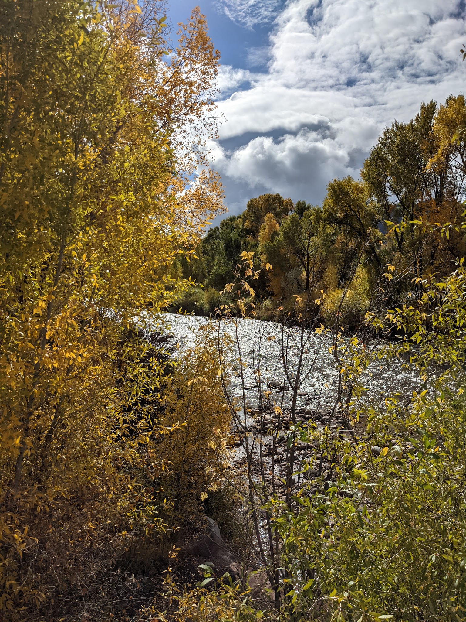 Basalt River Park - Basalt, CO