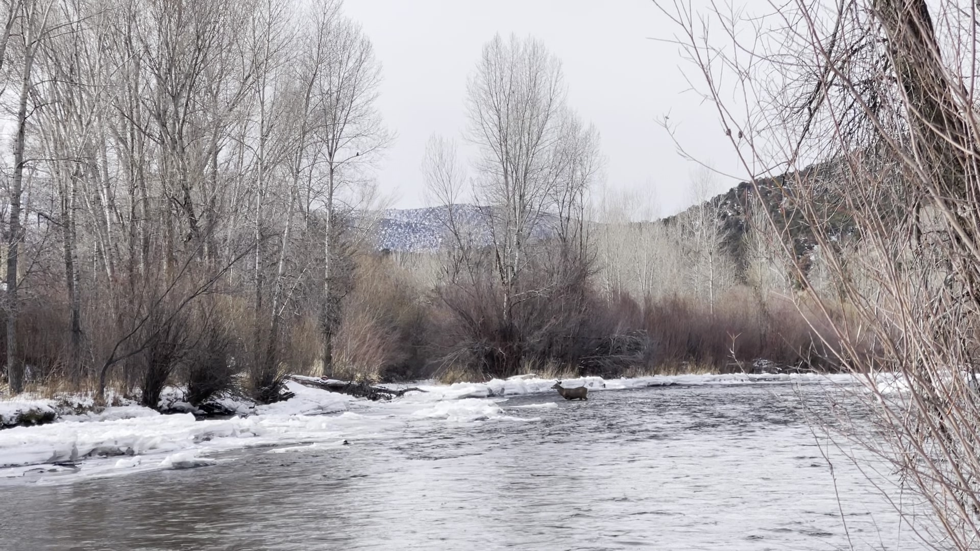 Basalt River Park - Basalt, CO