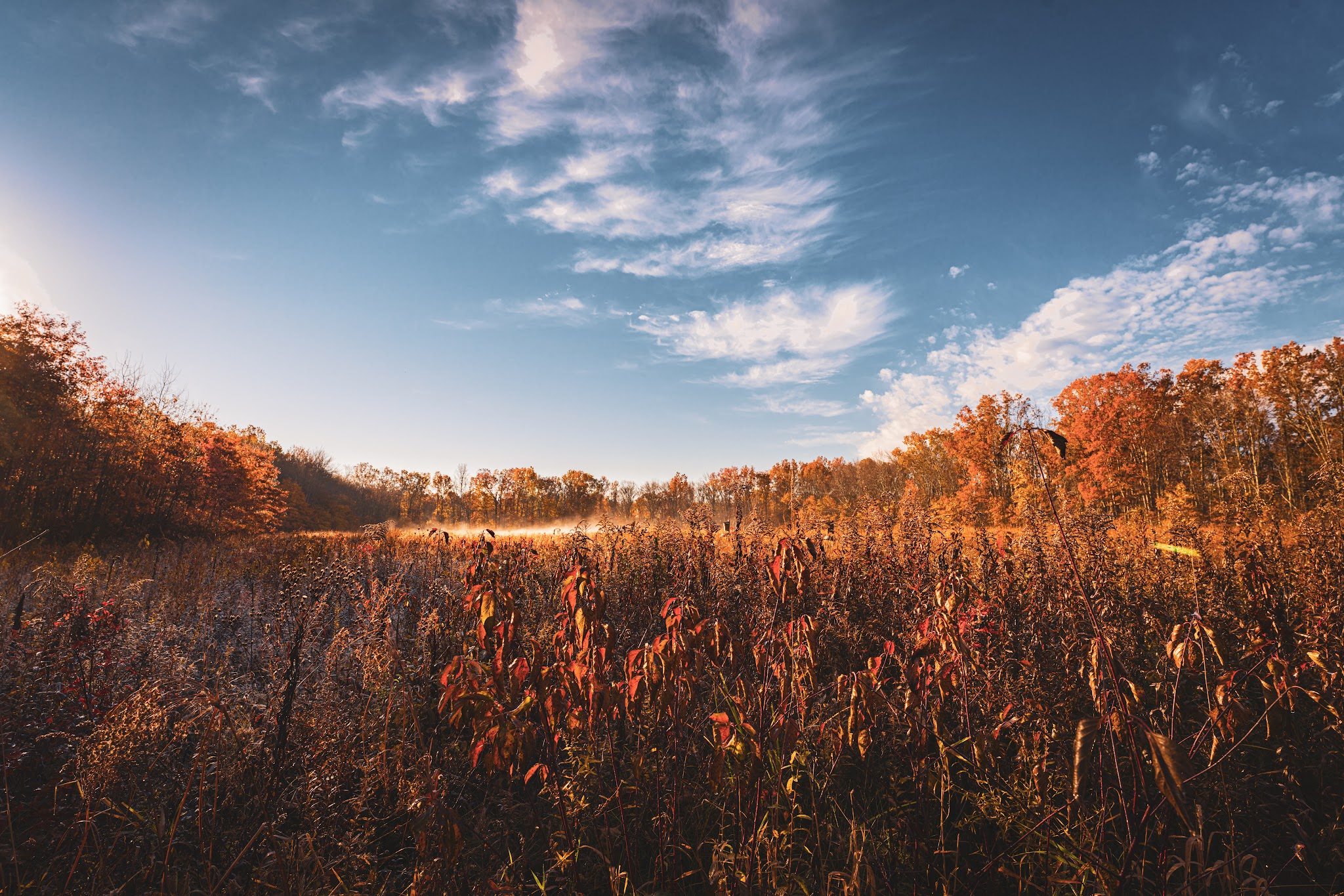Great Swamp National Wildlife Refuge - Basking Ridge, NJ