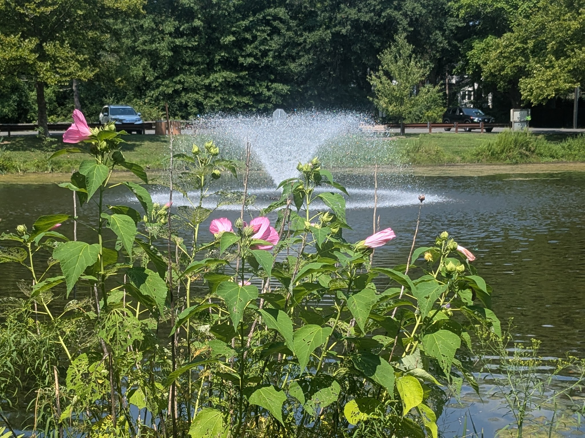 Southard Park - Basking Ridge, NJ