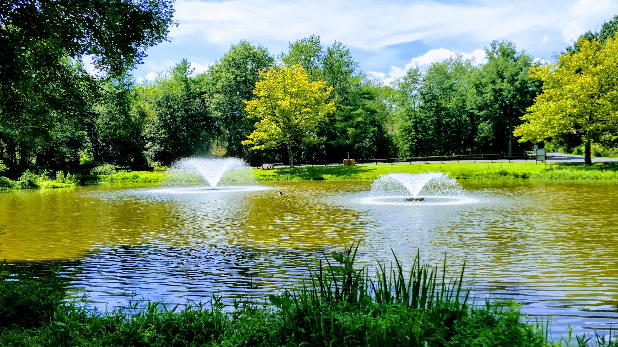 Southard Park - Basking Ridge, NJ