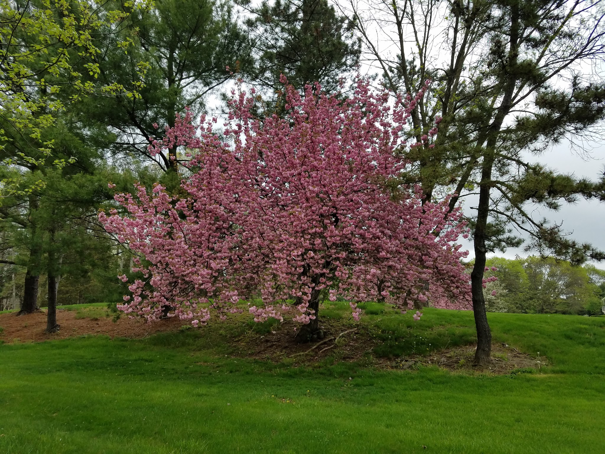 War Memorial Field - Basking Ridge, NJ