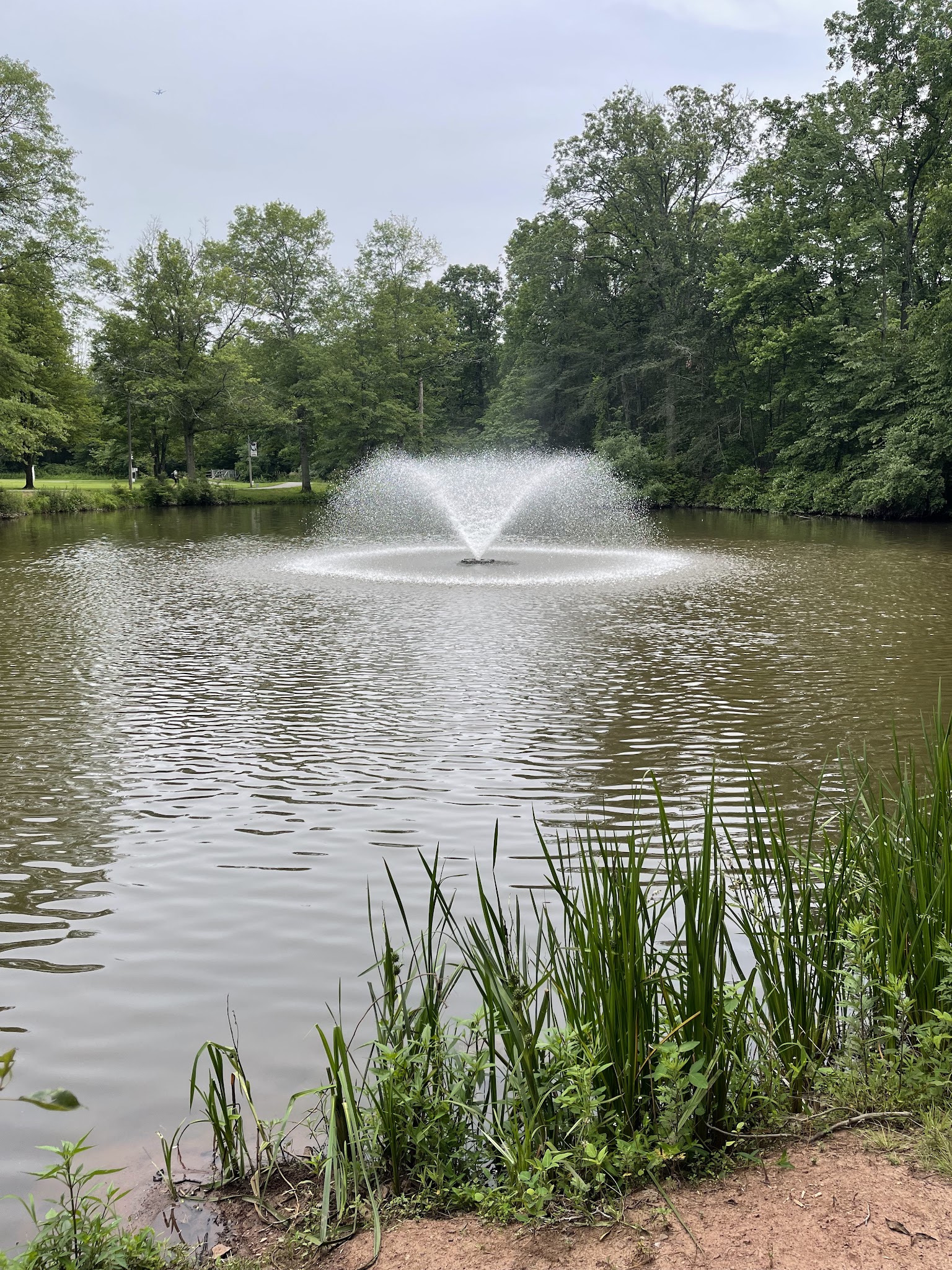 Tobin Heath Field - Basking Ridge, NJ