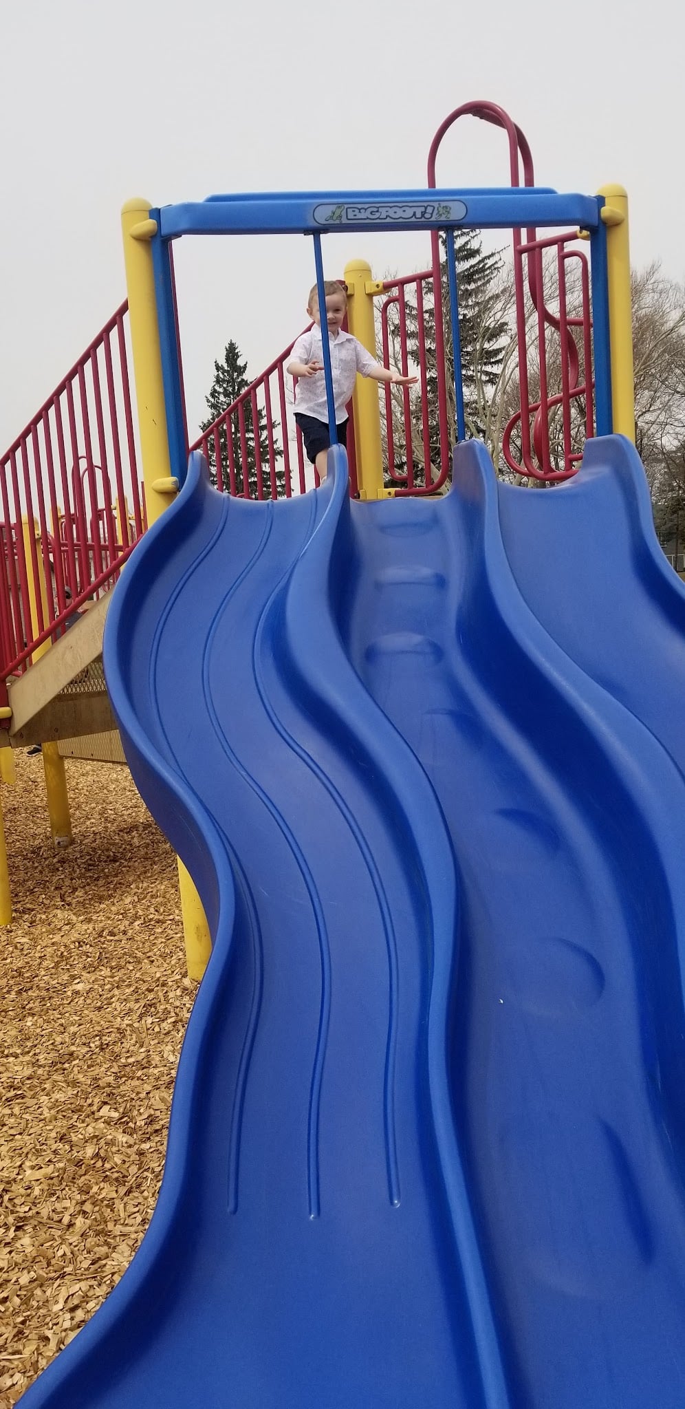 Austin Park - Batavia, NY