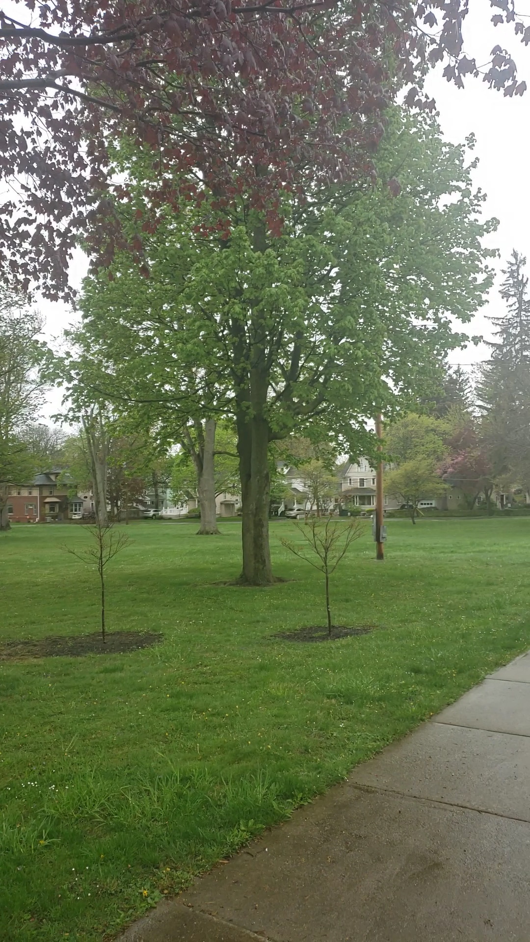 Centennial Park - Batavia, NY