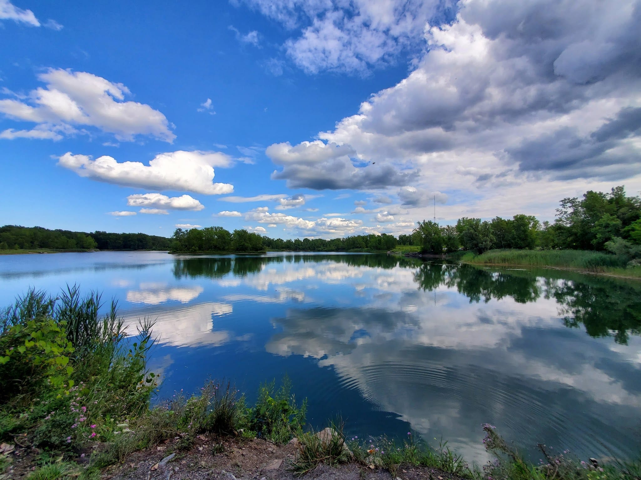 DeWitt Recreation Area - Batavia, NY