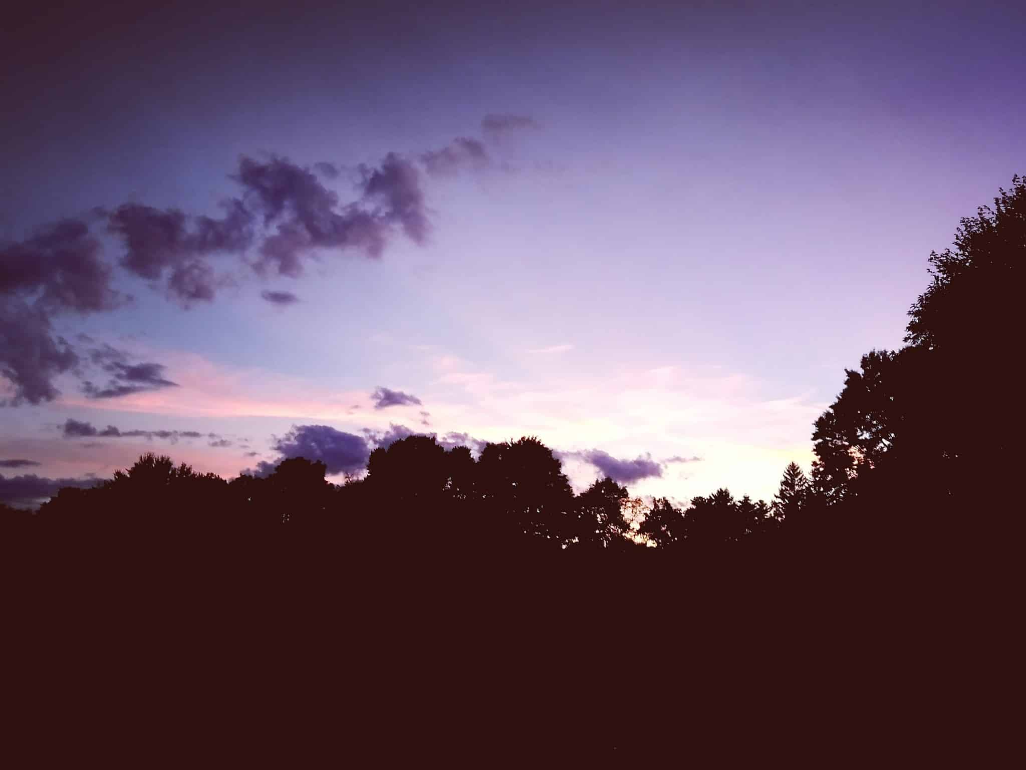 Lions Park - Batavia, NY