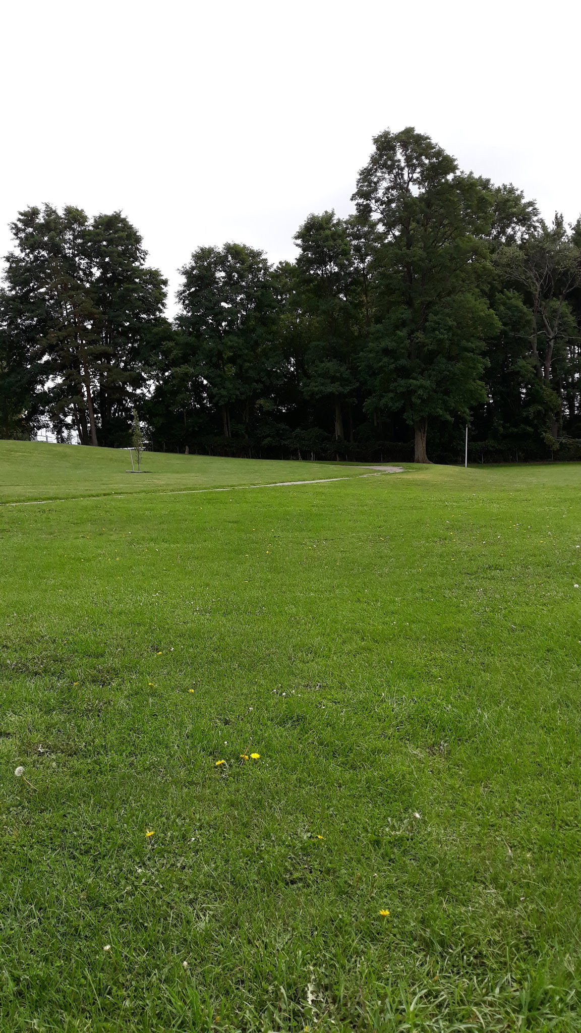 Williams Park - Batavia, NY