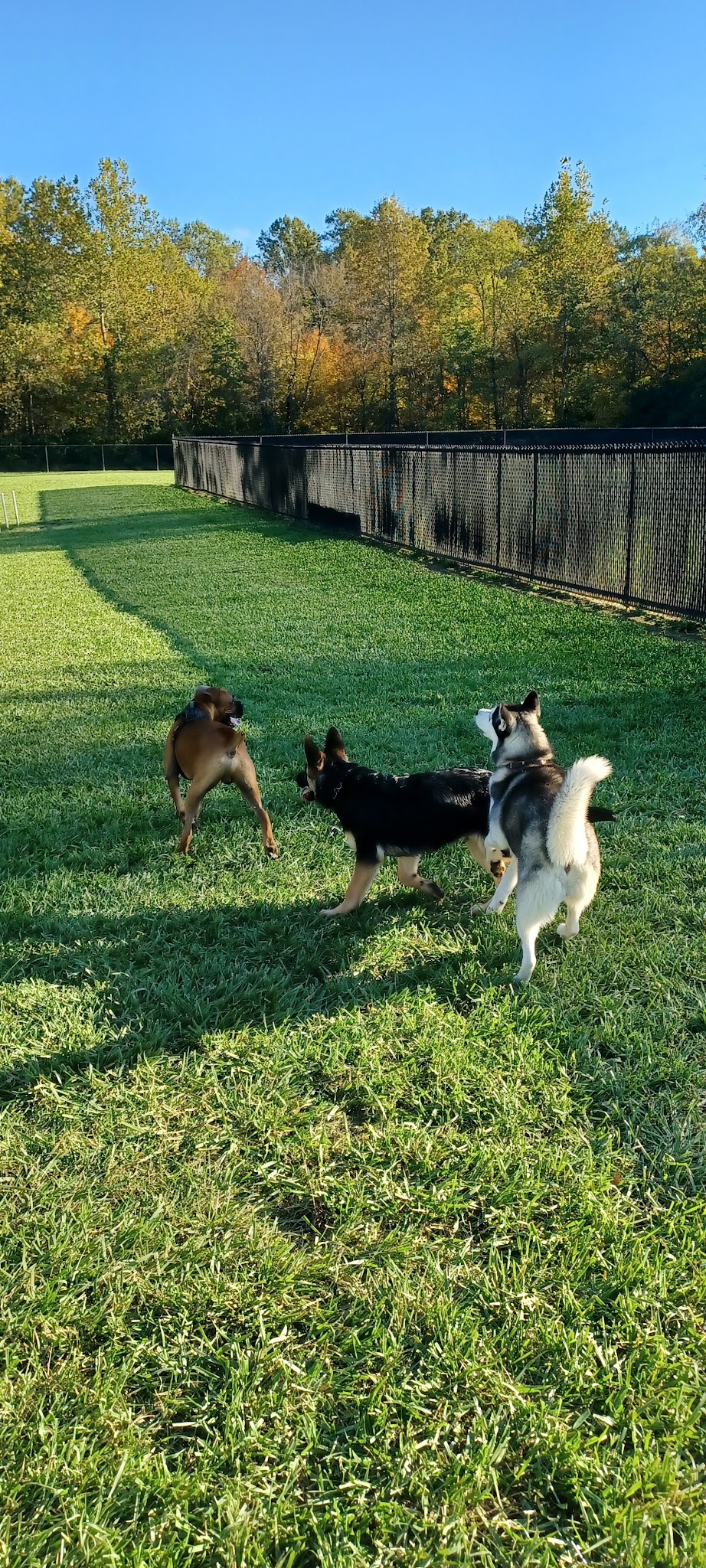 David J Stricker Dog Park - Batavia, OH