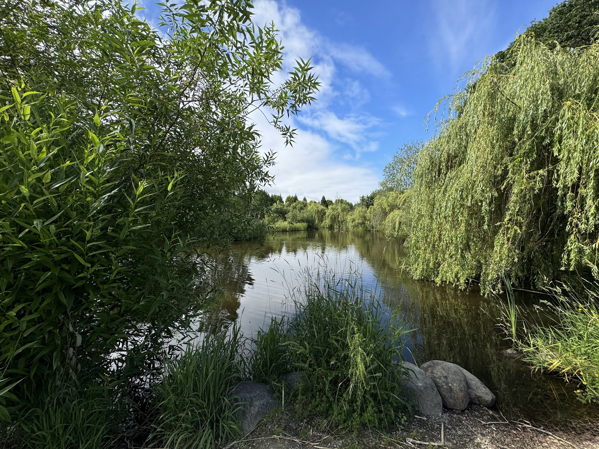 Marshall Community Park - Battle Ground, WA